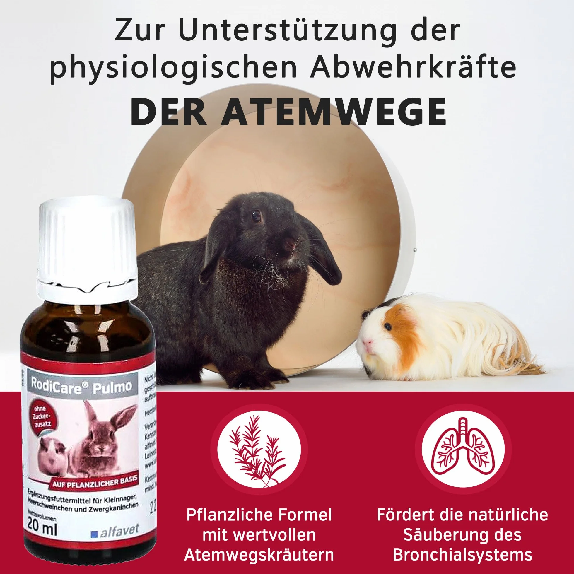 alfavet RodiCare Pulmo 2 x 20 ML Complément Alimentaire Voies Respiratoires Cochons d'Inde Rongeurs