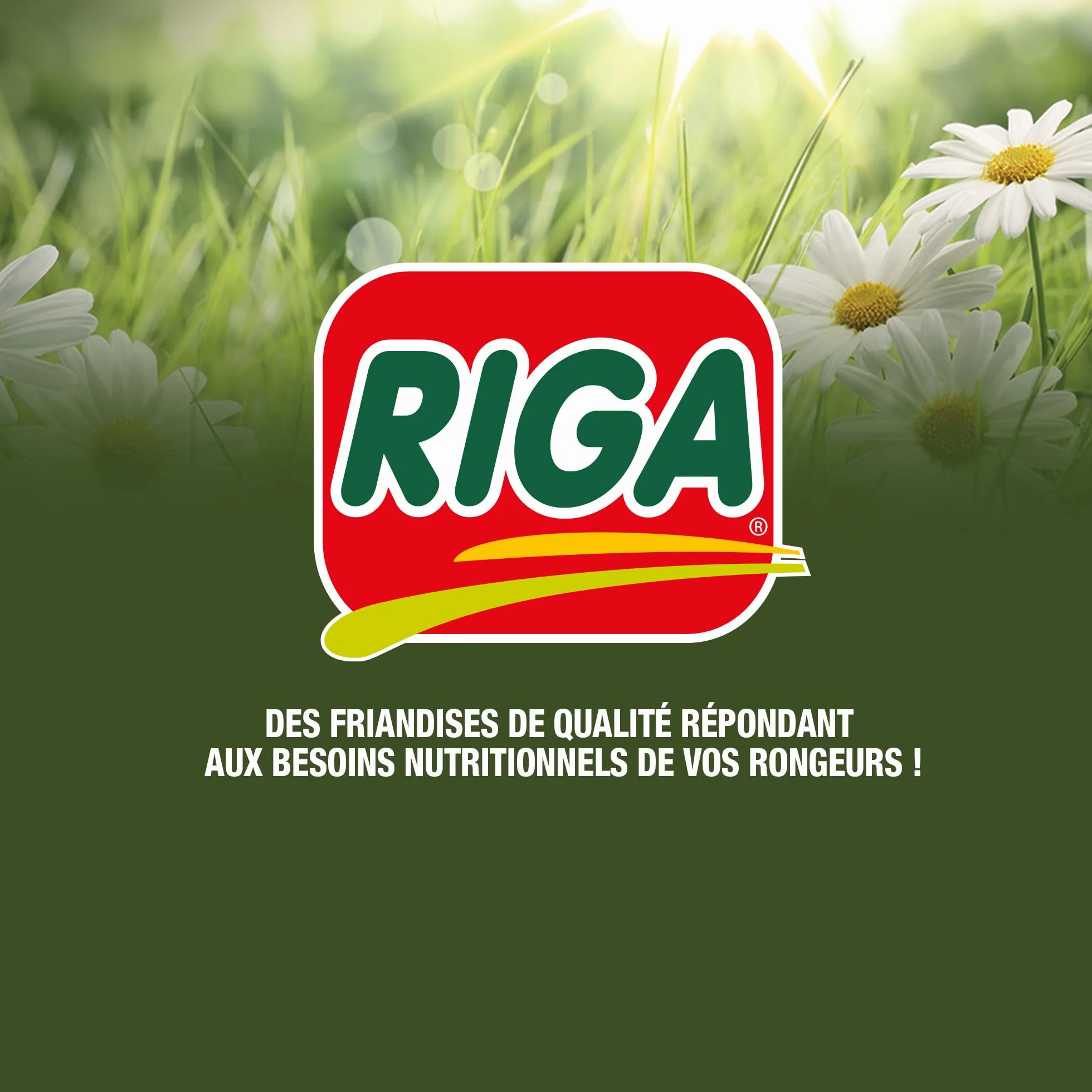 Rondly à l'Orange Friandise Complémentaire pour Rongeur 125 g