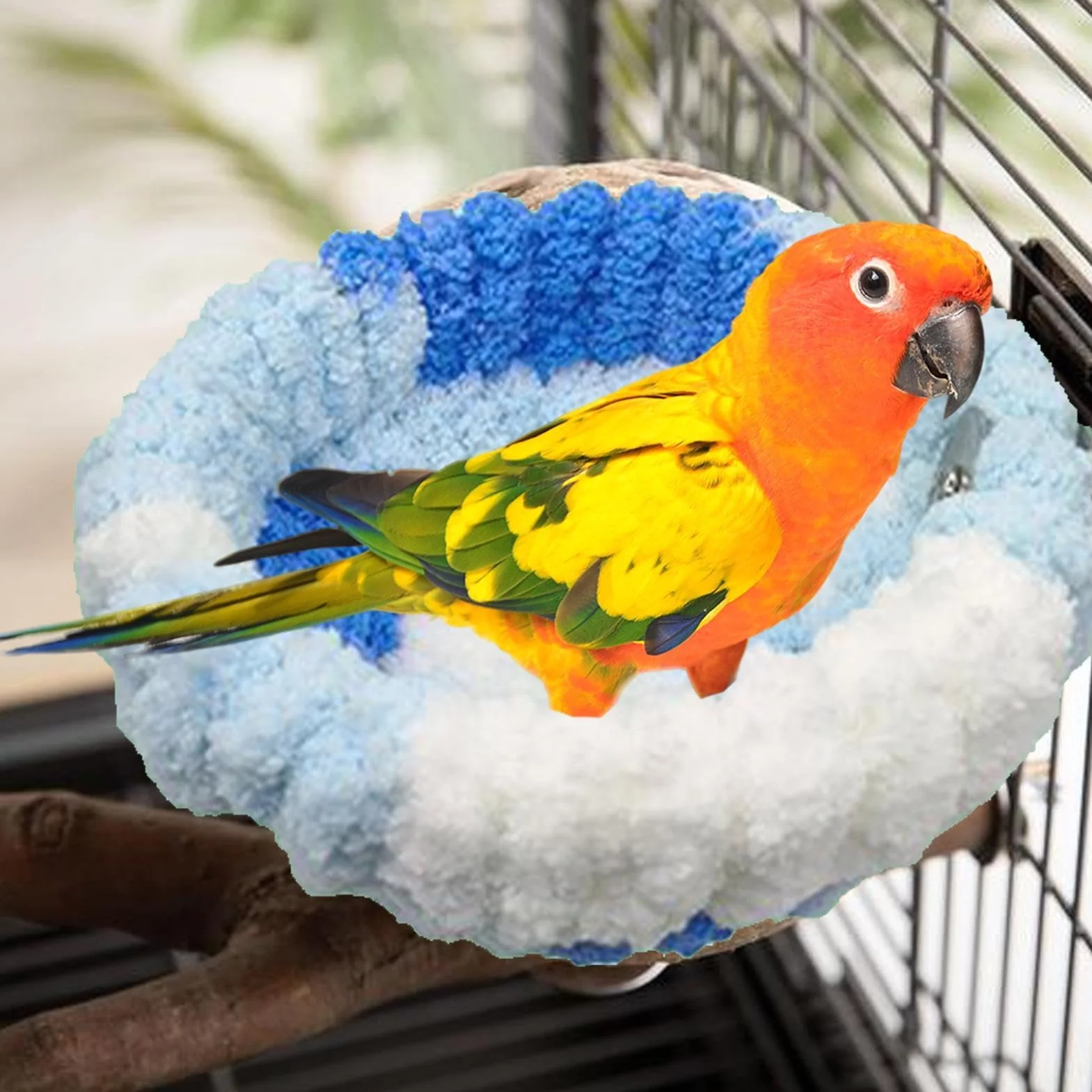 Nid pour perruches, calopsittes, conures, inséparables, canaris, pinsons