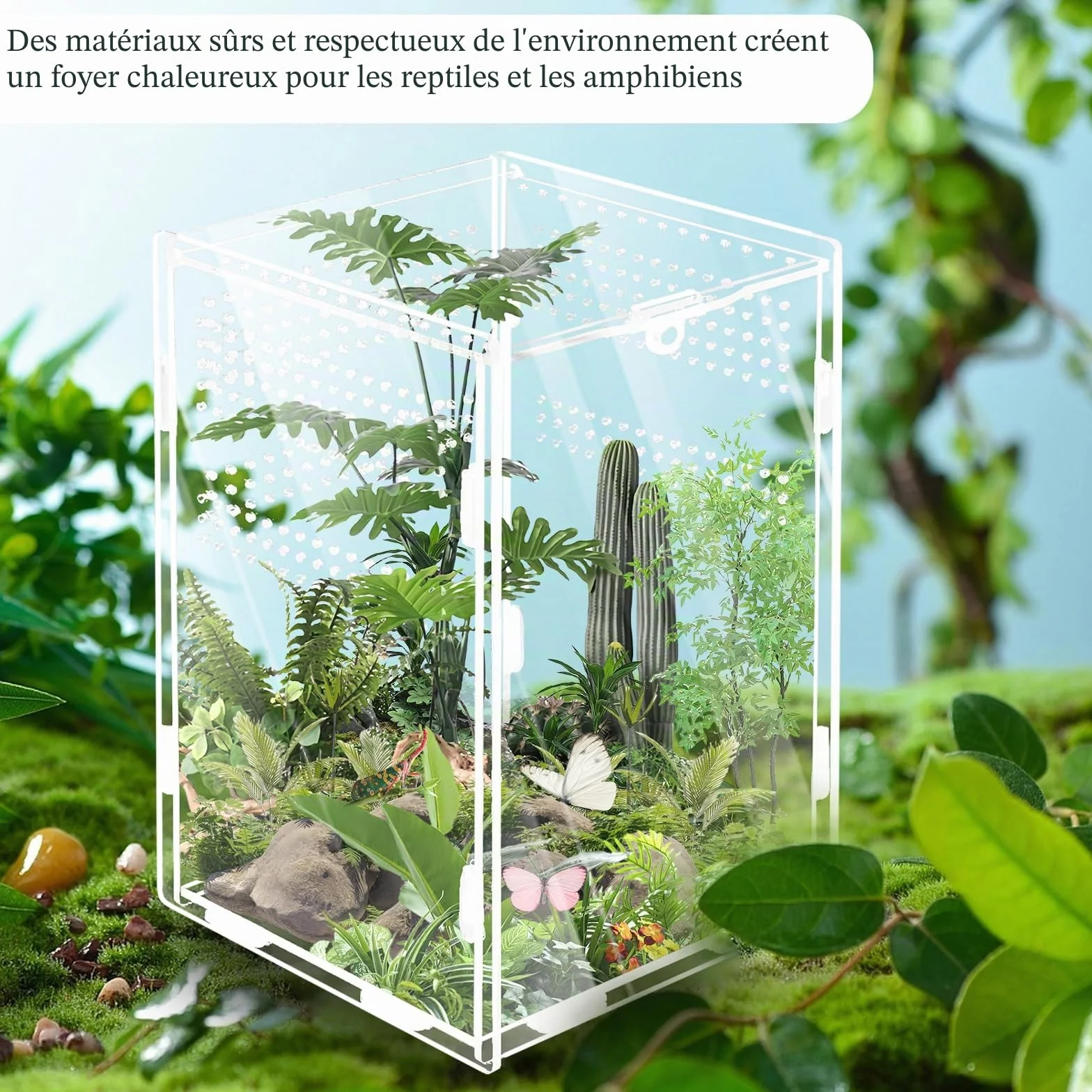 Terrarium à escargots 360° en acrylique WIYETY Mini terrarium transparent pour reptile (20 x 12 x 12 cm)