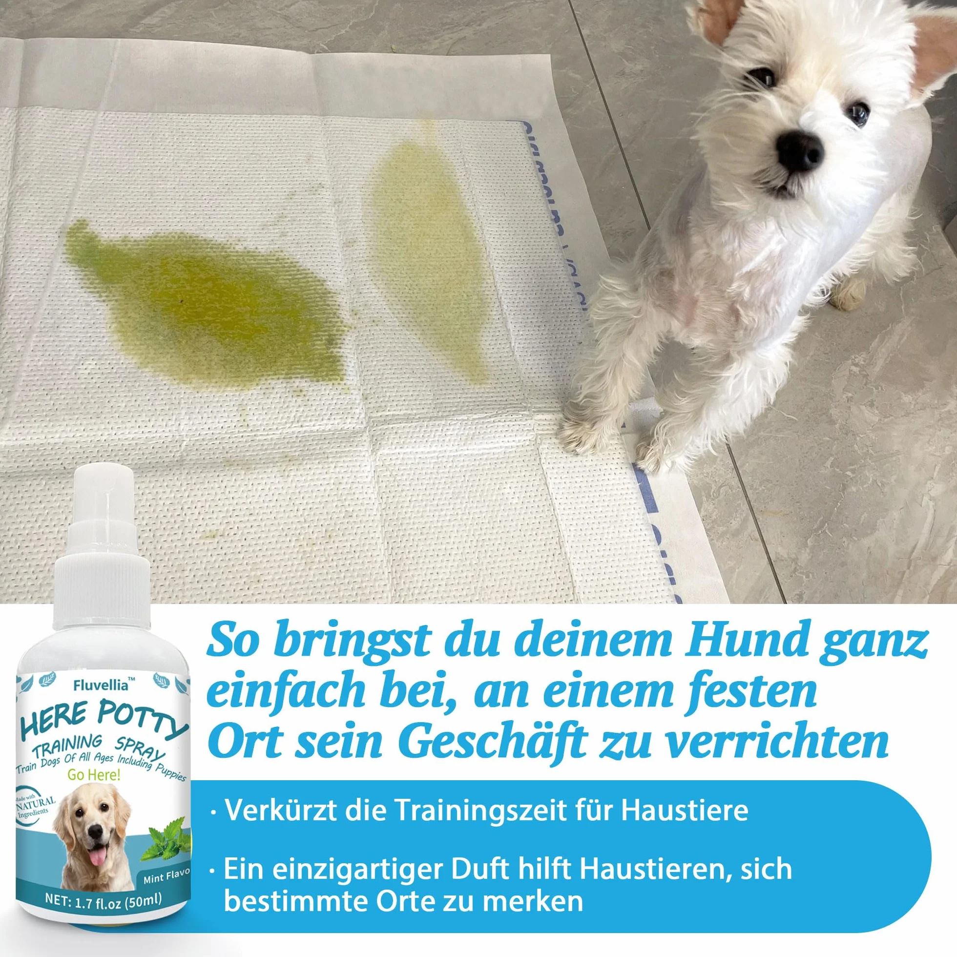 Lot de 2 sprays d'entraînement pour chien Not Here et Here Potty - 50 ml - Ingrédients naturels - Arôme d'agrumes et de menthe
