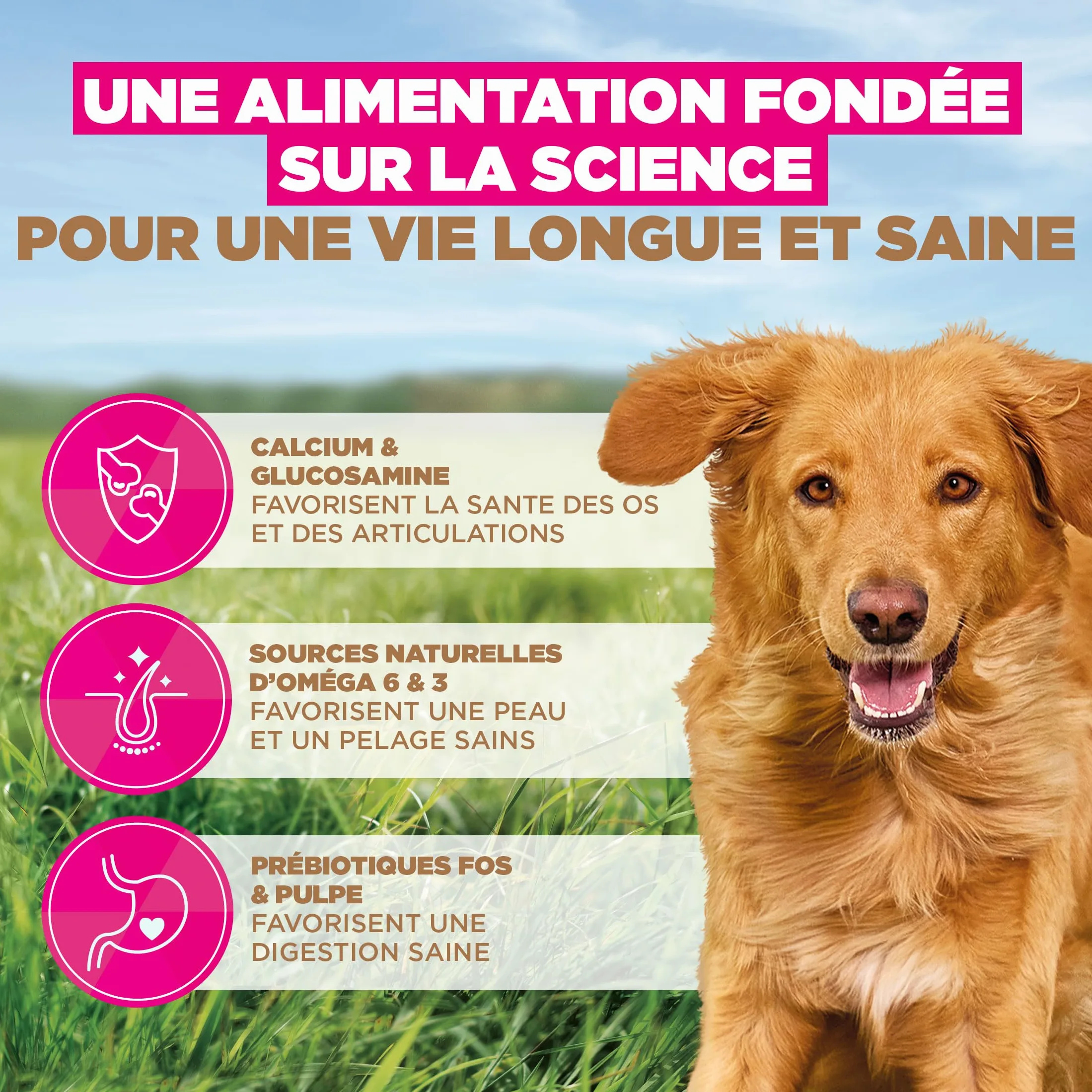 EUKANUBA Chien Adulte Grande Race sans Céréales Agneau 12 kg