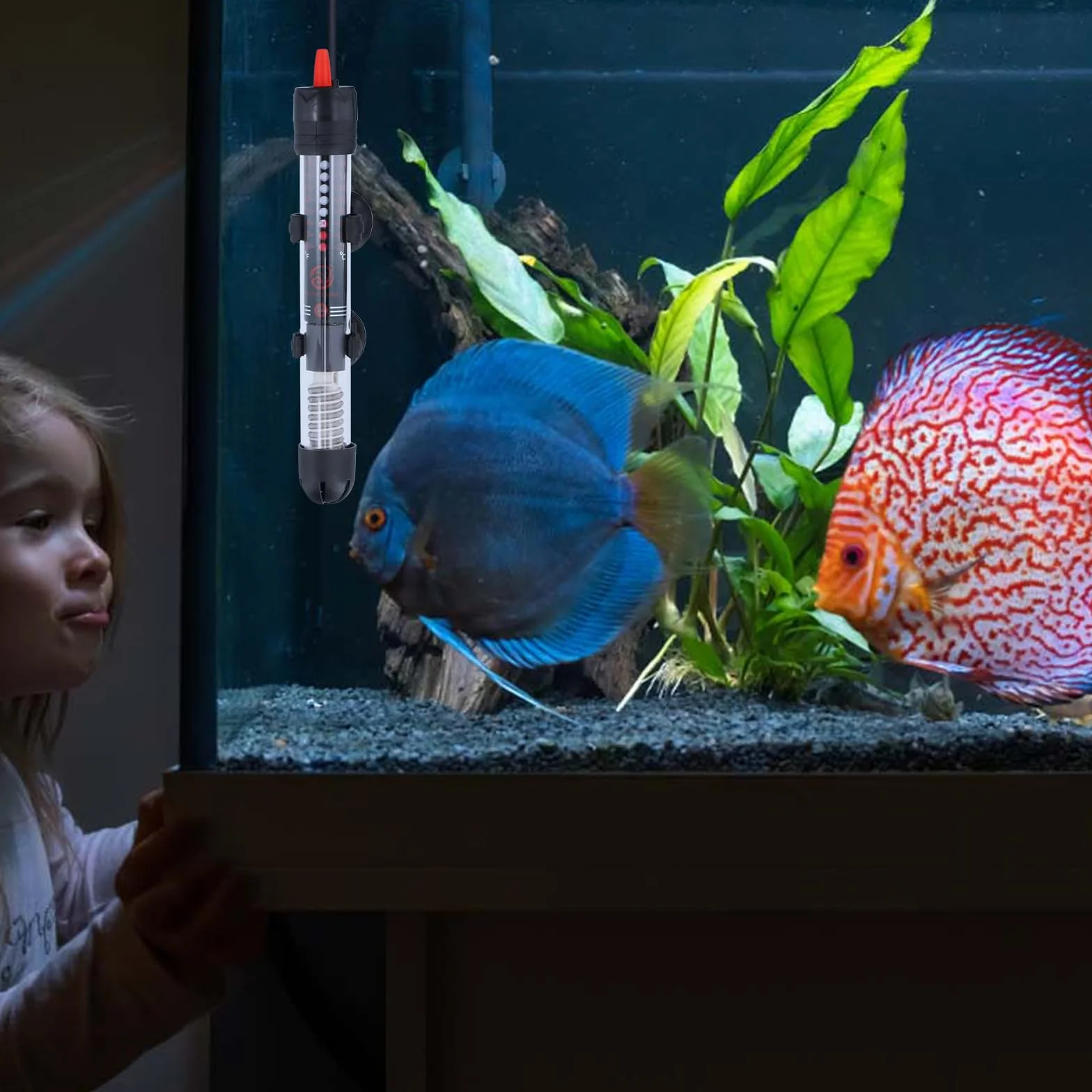 Focanet Chauffage Aquarium 30L, 25W Chauffage d'Aquarium Réglable avec Thermostat 20-34 °C, Thermostat Réglable, Chauffage en Verre Submersible pour Réservoirs à Poissons Et Aquarium