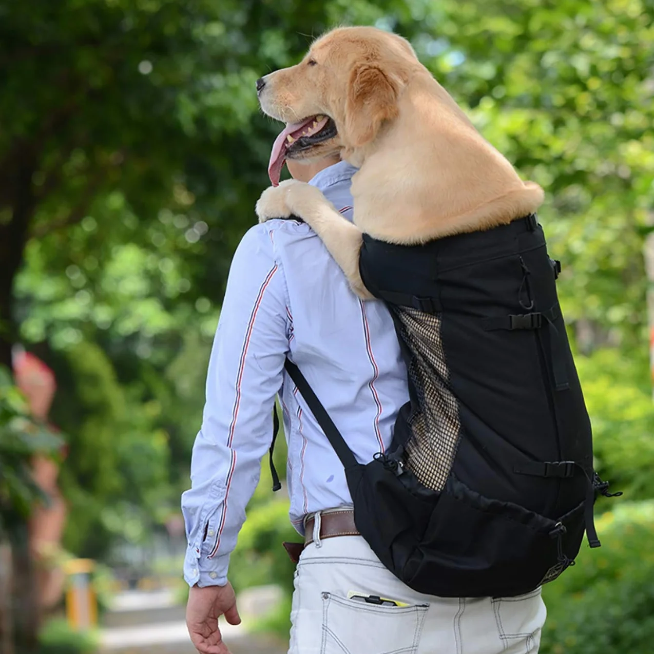 Sac à dos pour chien Woolala, approuvé par les vétérinaires, léger pour petit chien