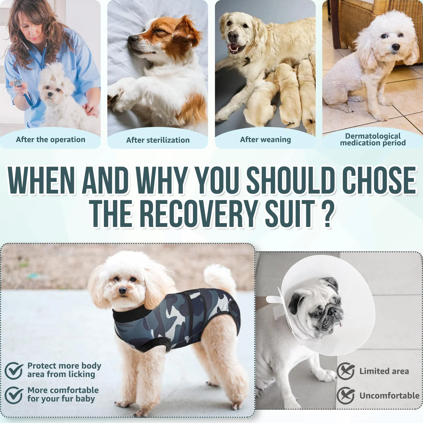 SlowTon Combinaison de récupération pour chien, chemise post-opératoire anti- léchage, bandage abdominal