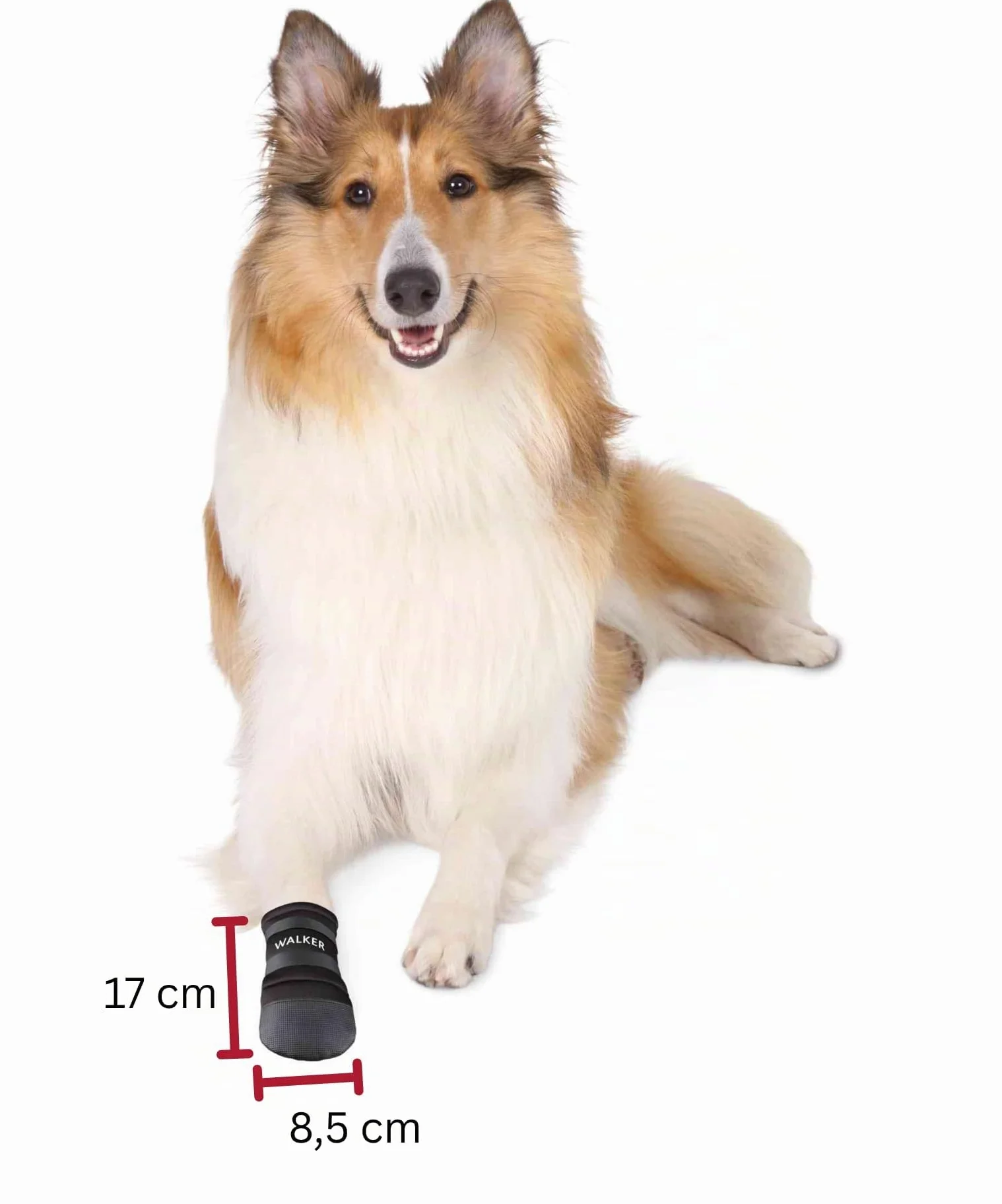 TRIXIE Walker chaussures pour chien L semelle vinyle 2 velcros protection outdoor pattes blessées sensibles