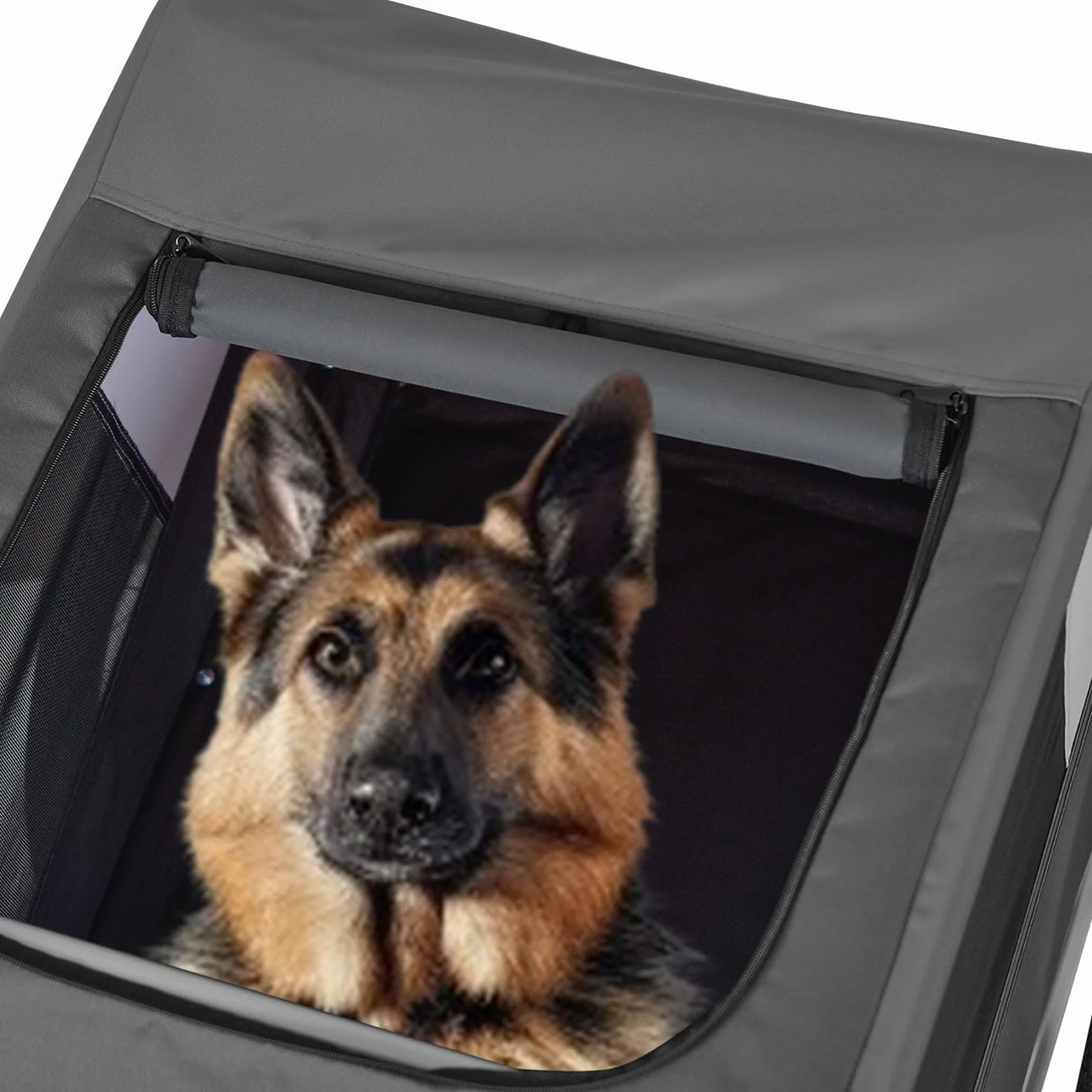 Tiggo VS Pets L Remorque de vélo pour chien - Volume : environ 270 l - Pour chiens de taille moyenne et grande jusqu'à 35 kg - Pliable