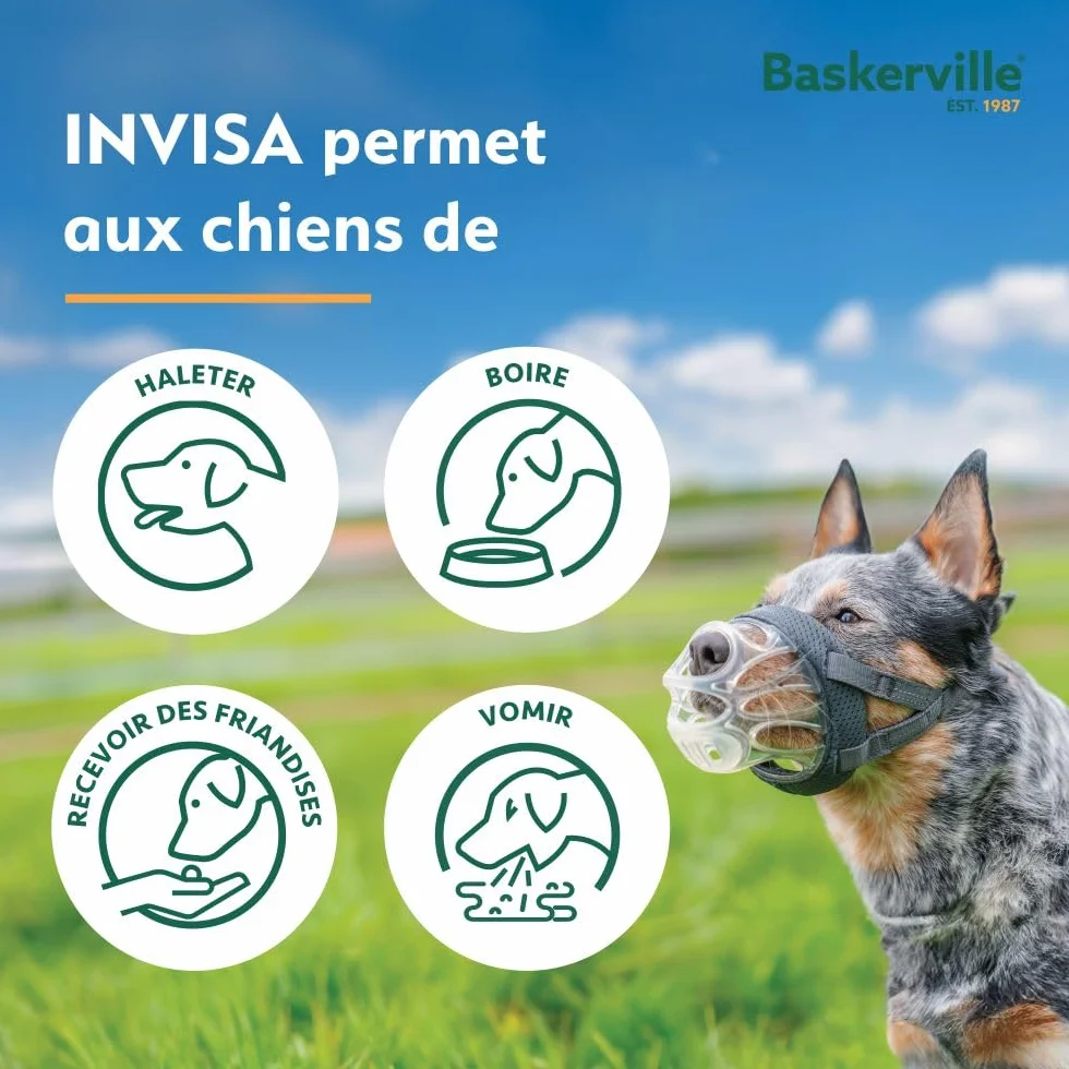 MUSELIÈRE BASKERVILLE INVISA, sûre, respectueuse du chien qui peut haleter et boire, réglable, matelassée, éducation des chiens moyens, anti-morsure, anti-fouille (Taille 4)