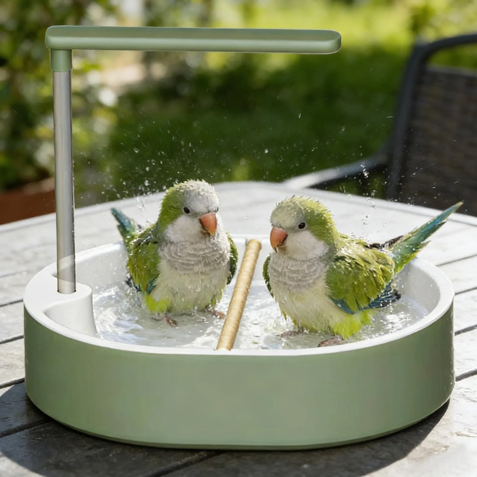 Baignoire Oiseaux Fontaine Douche Automatique pour Perruches, Perroquet, Conures, Cacatoès (Vert)