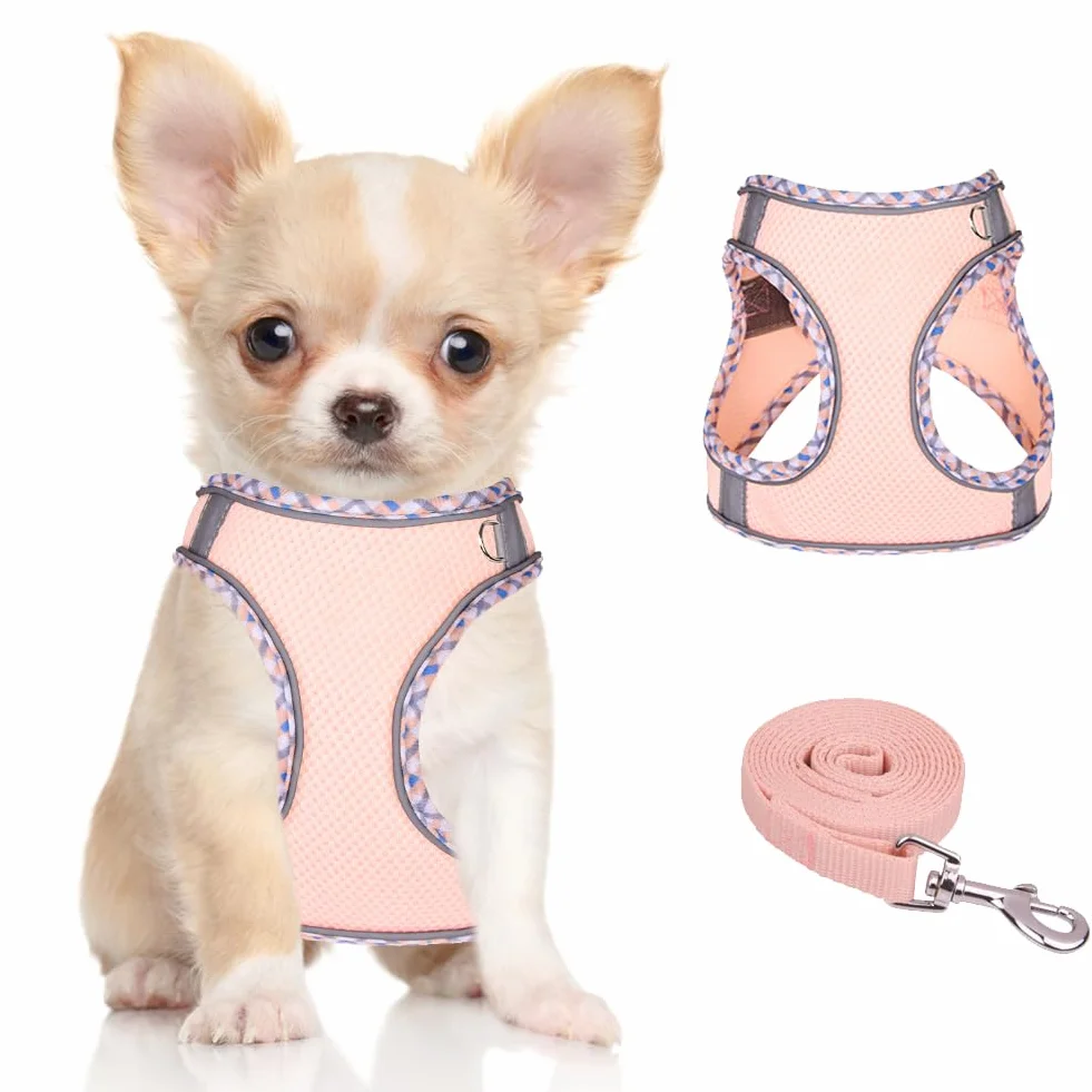 Harnais pour Chien Petite et Moyenne Taille, Harnais et Laisse pour Chiot, Maille Réfléchissante Respirable, Gilet Rembourré