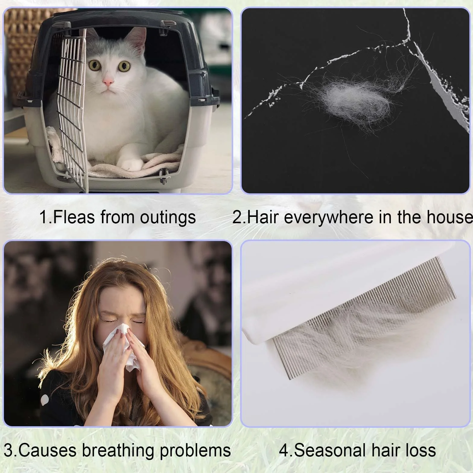 4pcs Brosse de Toilettage pour Animaux de Compagnie, Peigne à Puces pour Chat Peigne à Puces Chien Multifonctionnel Peigne à Puces pour Chiens Peigne à Cheveux pour Animaux de Compagnie