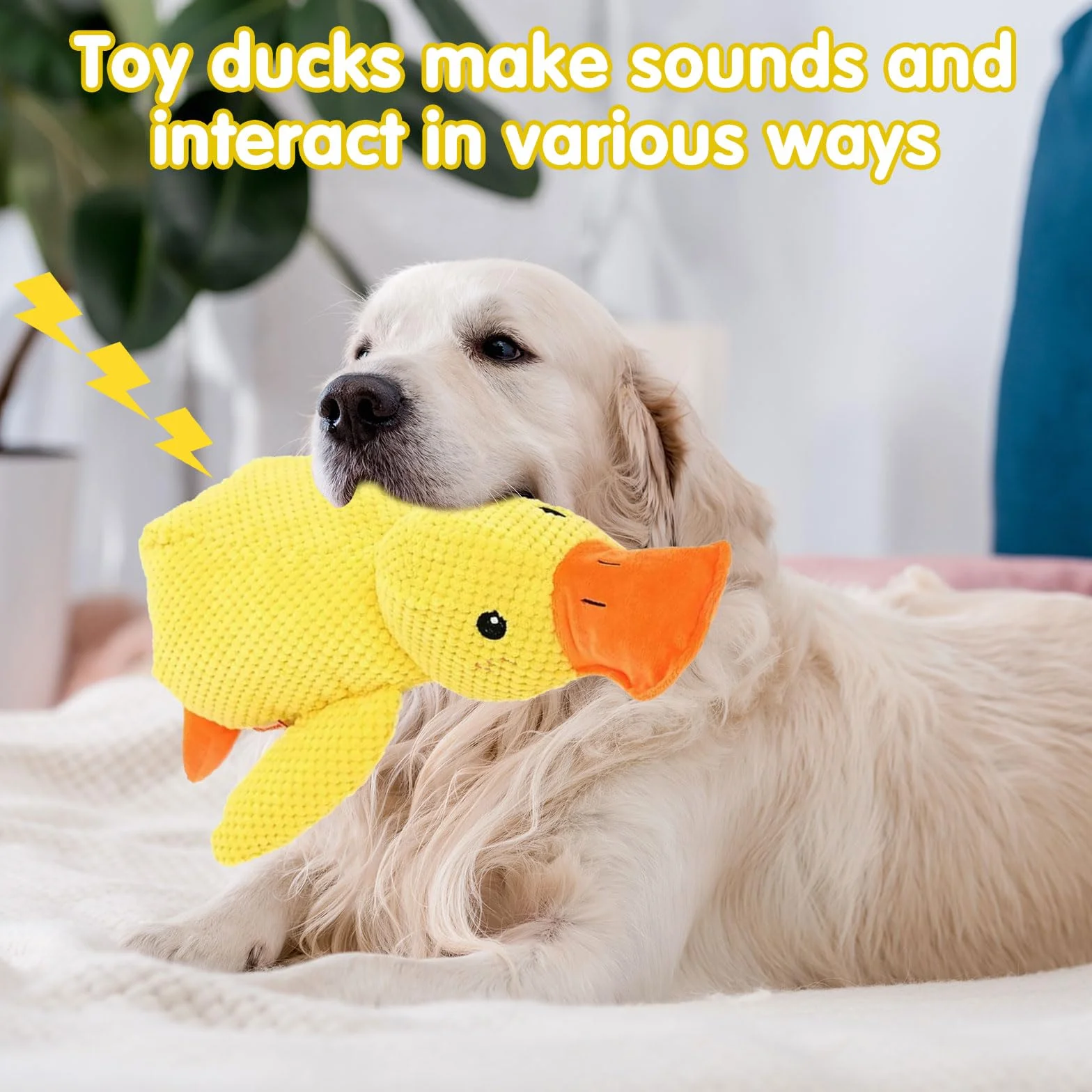 Jouet Canard Anti-Stress pour Chien, Sonore en Peluche, Calmant et Interactif
