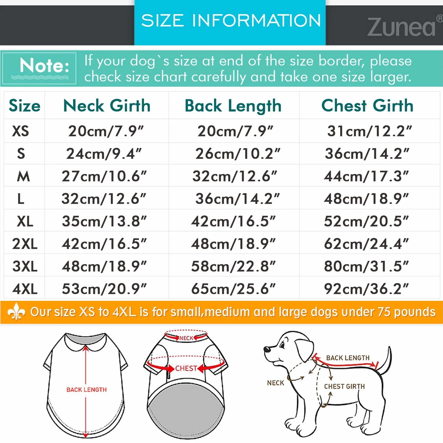 Manteau de pluie imperméable pour chien avec capuche, léger réfléchissant, motif canard, jaune M