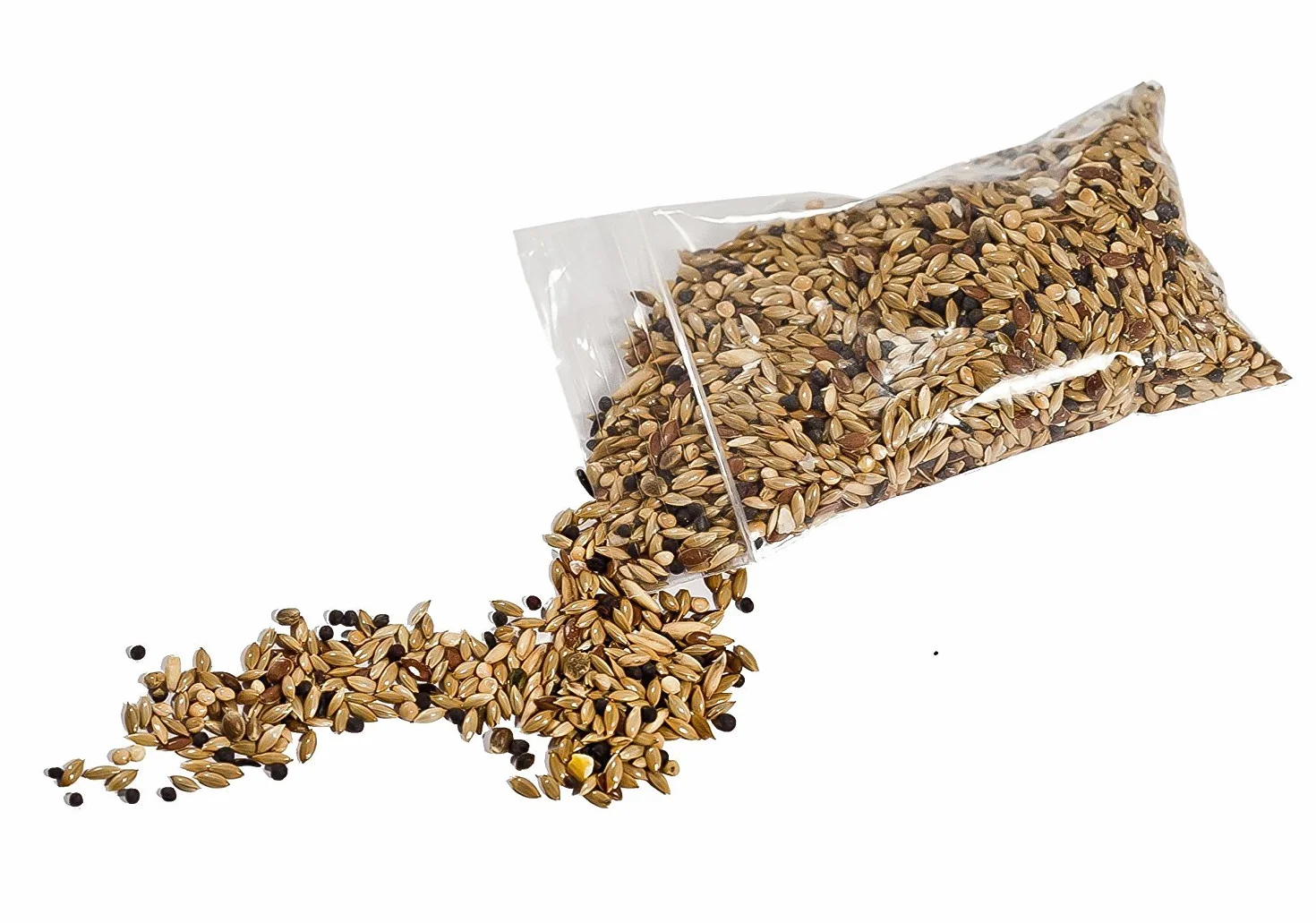 AntHouse 50 g Mélange de Graines Type I pour Reines Granivores et Colonie de Fourmis