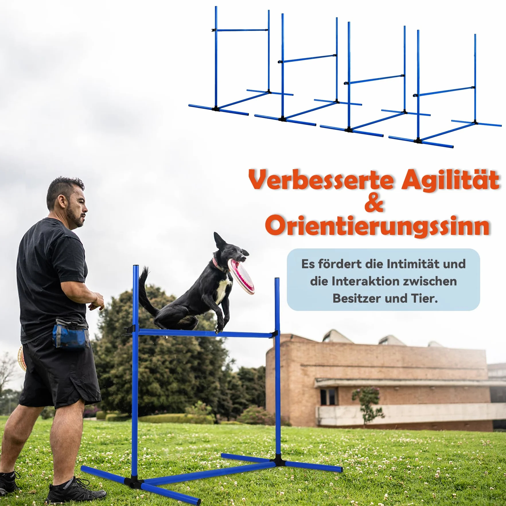 Froadp Agility Lot de 4 obstacles pour chiens - Slalom - Barres réglables en hauteur - 104 x 70 x 101 cm - Bleu