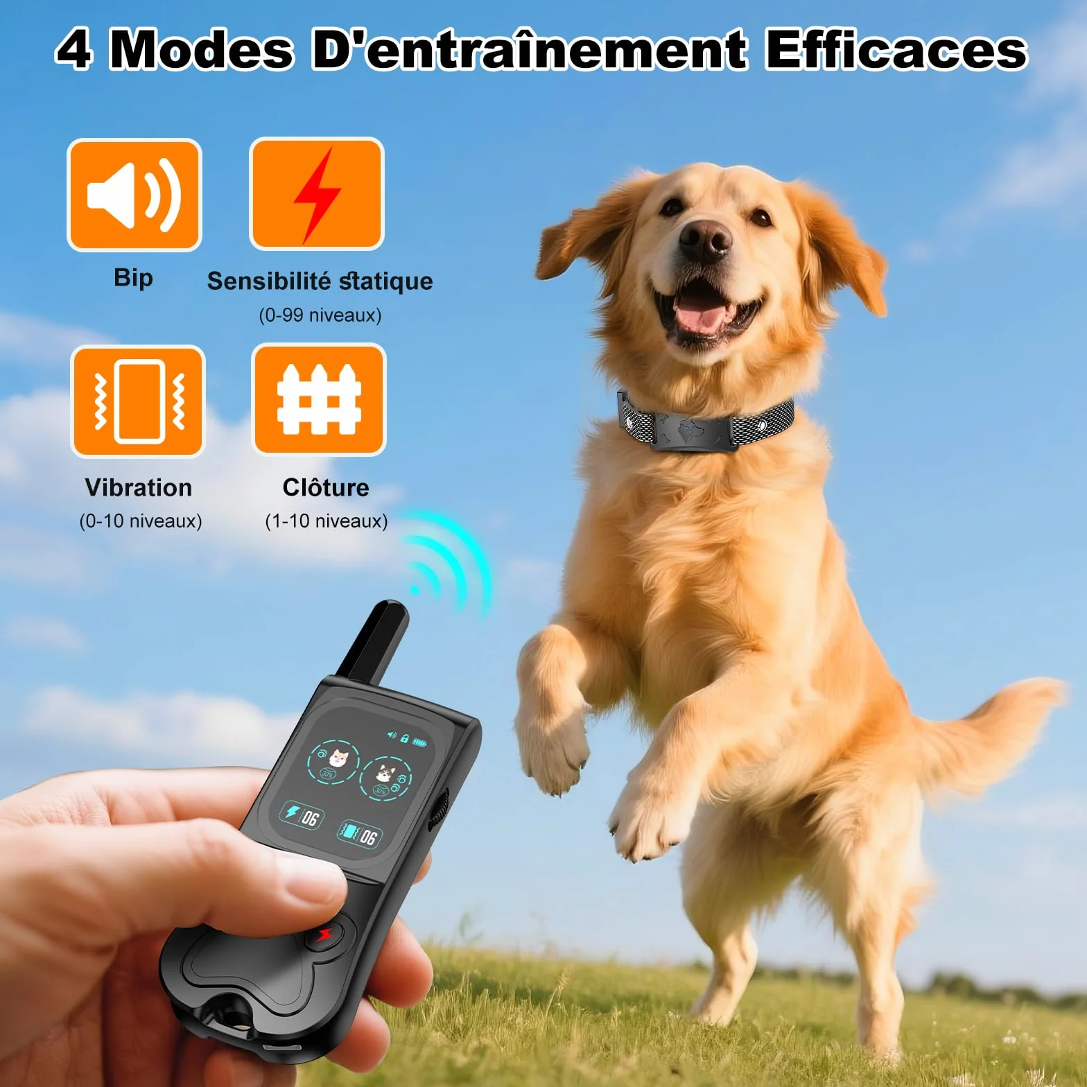 Collier de Dressage pour Chien IPX7 Résistant à L'Eau, 4 Modes avec Verrouillage de Sécurité, Noir