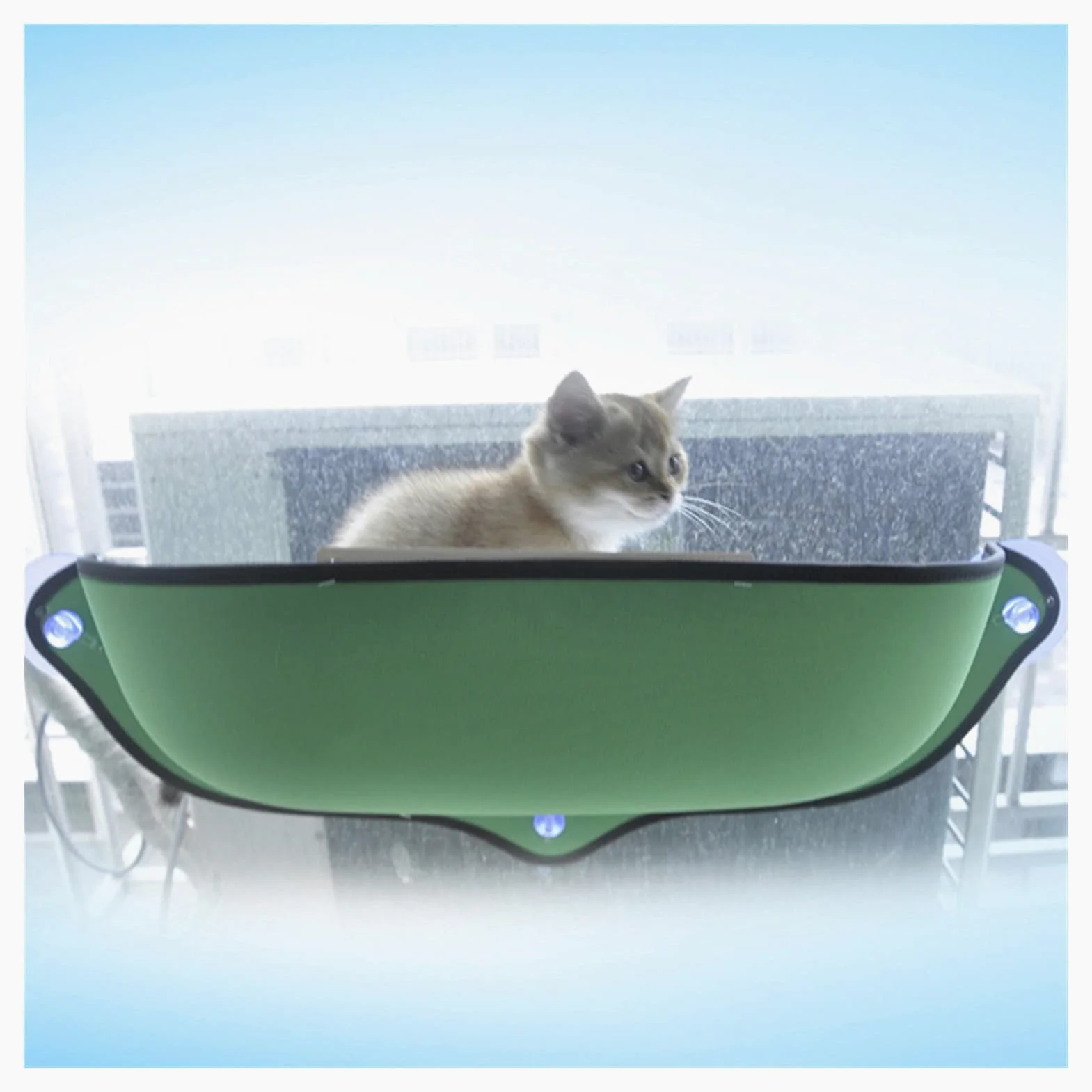 Hamac Chat/Perchoir à Chat Chat lit de chat montage chaude for chat animal domestique amovible mat mat de compagnie solide ventouse ventouse PET confortable hamac chat Products Hamac pour Animaux ( Co
