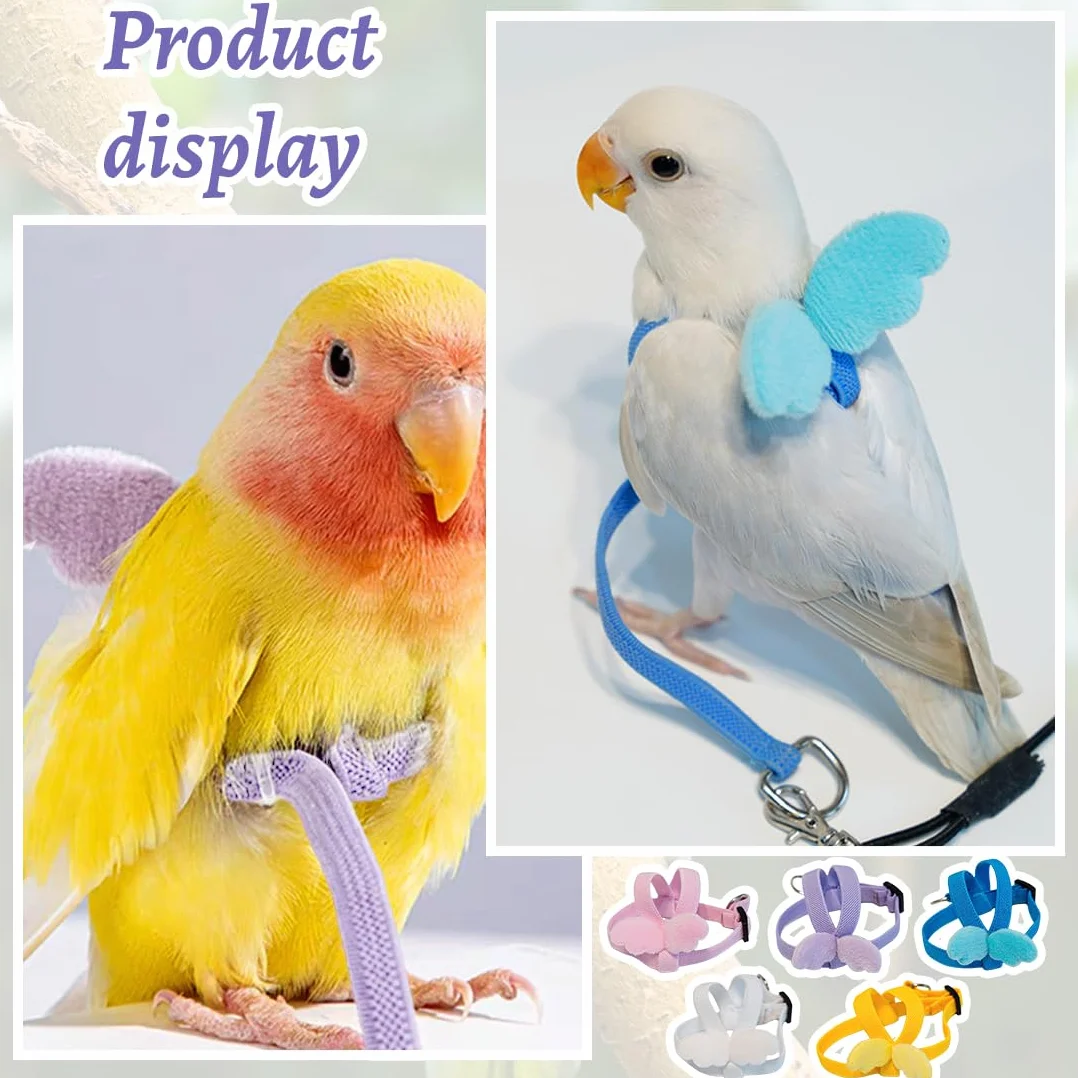 Harnais Perroquet 5 Pièces Harnais Pour Perroquet Ajustable Avec Laisse Vol Entraînement Sécurité Petit Oiseau Calopsitte Accessoire Aviaire Corde Réglable Pour Animaux
