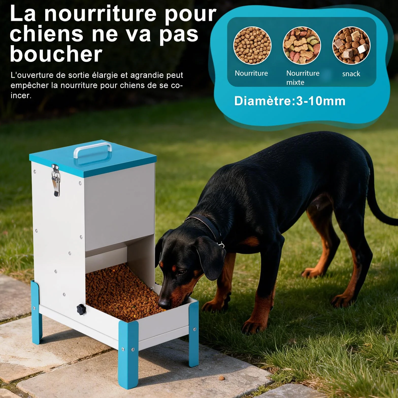 Distributeur Croquettes Chat Automatique 10L Gamelle Surélevée pour Chien Mangeoire Secs Métal Amovible