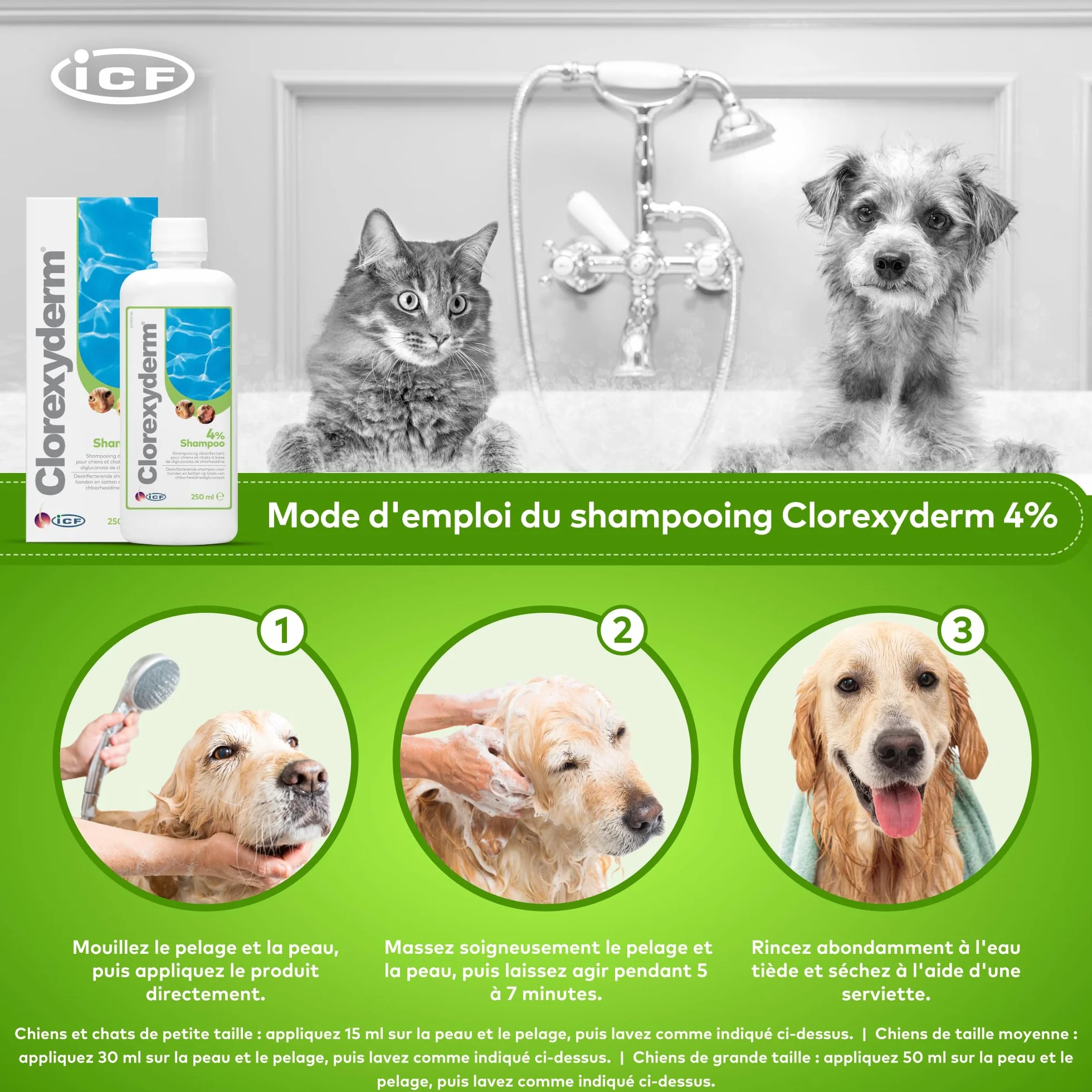 ICF | Clorexyderm 4% Shampoing Chien | Shampooing Chien Antiseptique, Hydratant et Anti Odeur pour Chien et Chat | Assainit, Hydrate et Protège la Peau | 250ml