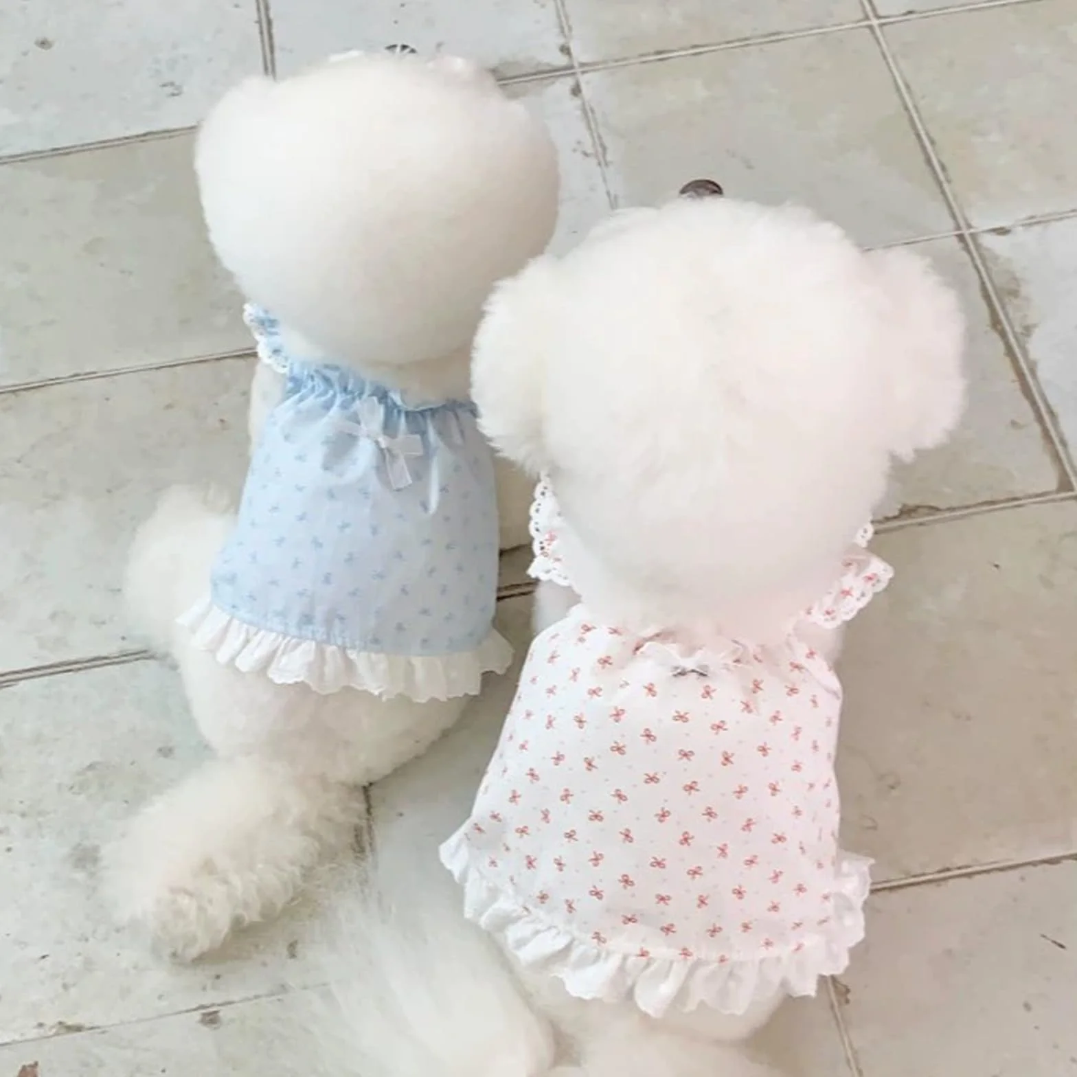 Lot de 2 Robes pour Chien, Vêtements d'Été Imprimé Floral Taille XS, Chemises à Volants pour Petits Chiens, Bleu et Rose
