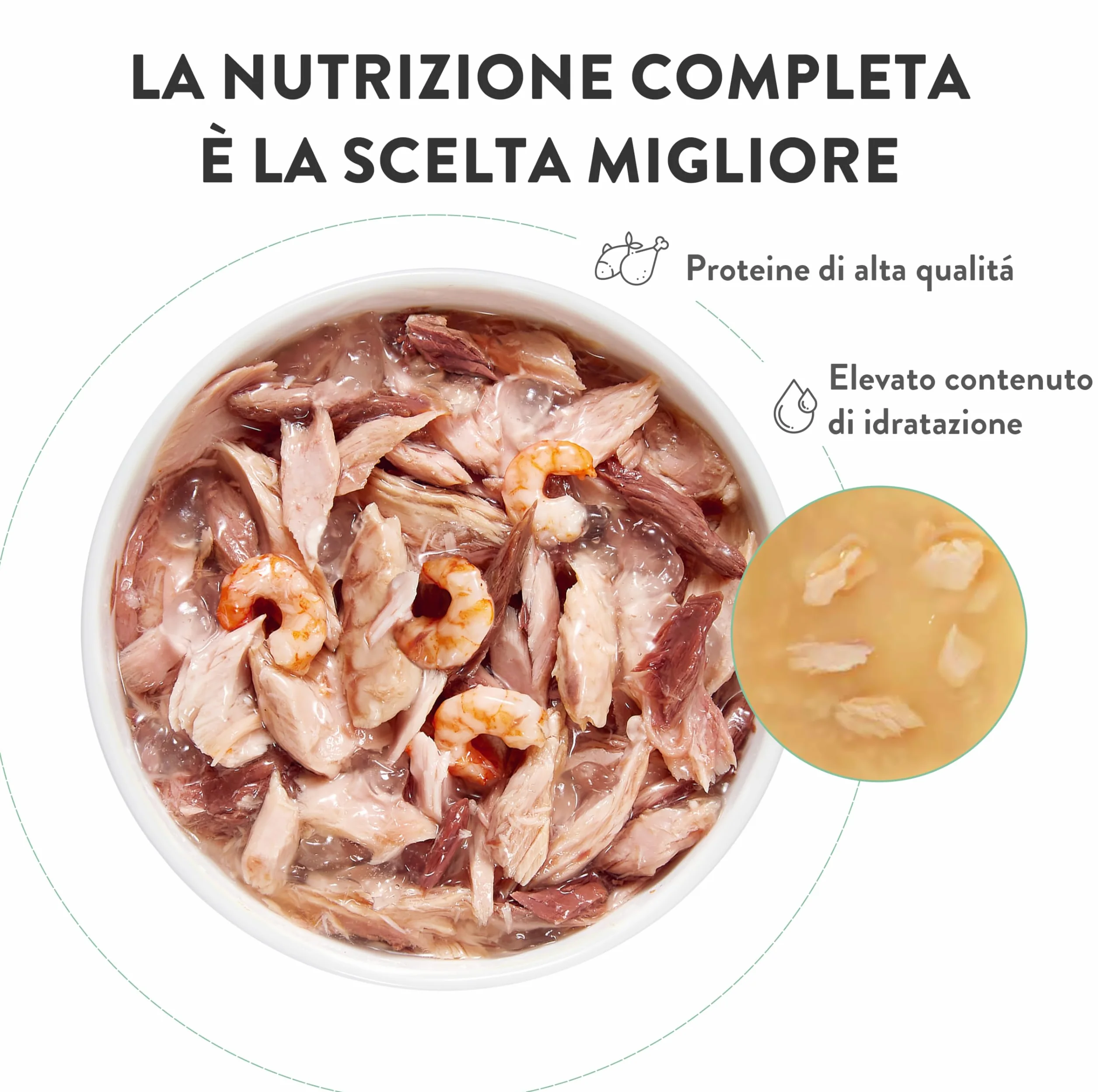 Schesir, Thon avec Saumon en gelée, Nourriture Humide complète pour Chats, en Conserve, avec des vitamines supplémentaires, 100% Naturel, 6 x 85 g