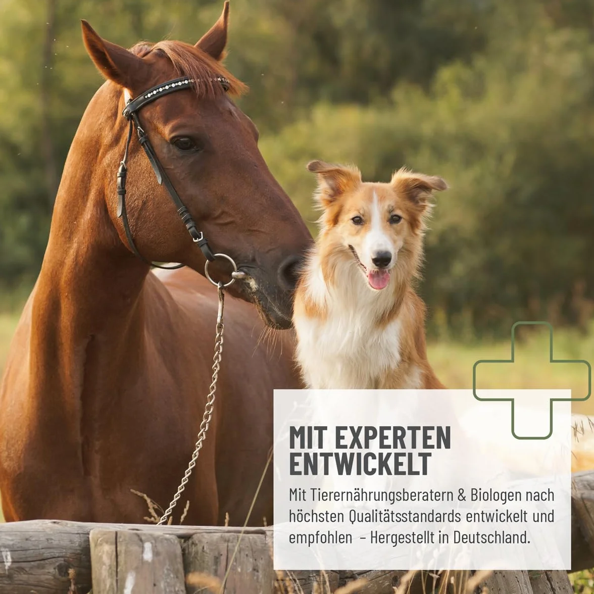 ReaVET Relax Liquide pour Chevaux 500ml - Sédatif pour chevaux stressés et anxieux, apaisement nerveux