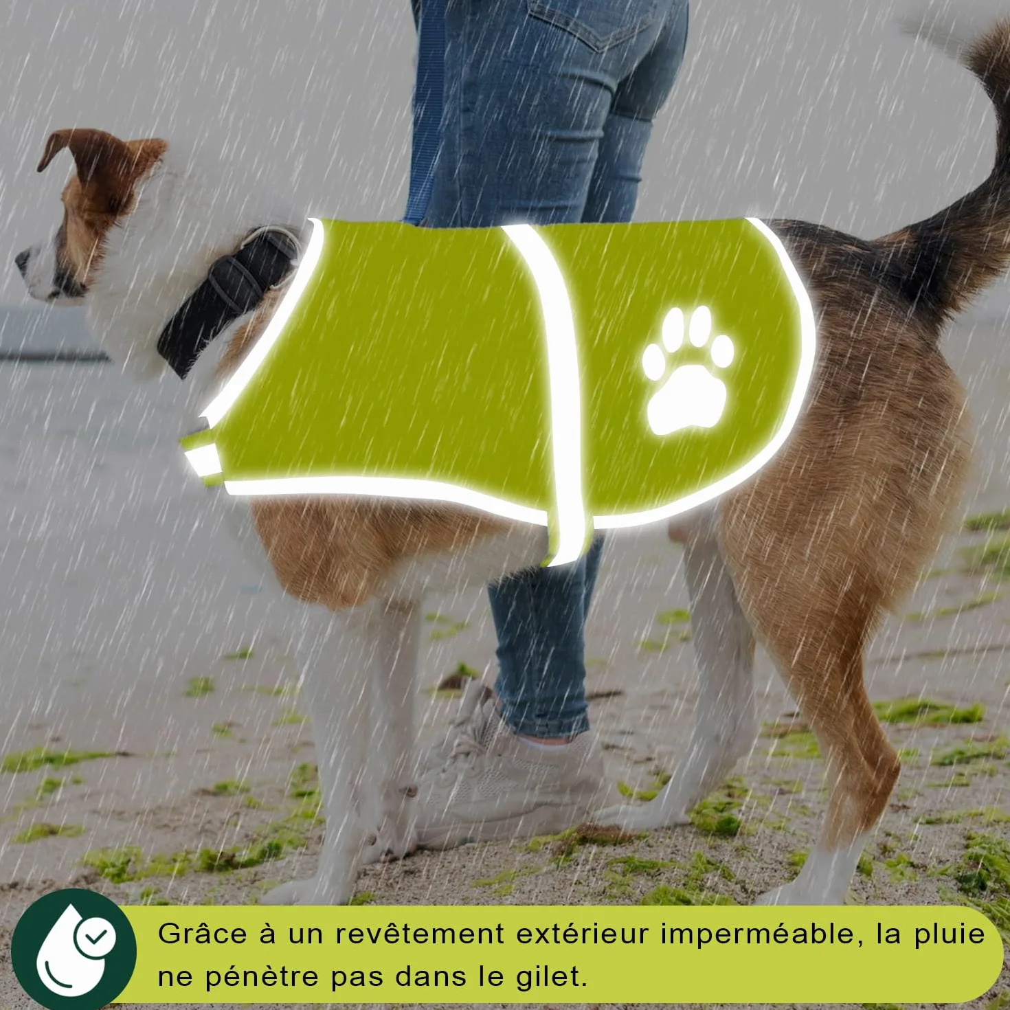 Voarge Gilet de Sécurité Réfléchissant pour Chien Haute Visibilité Veste Jaune L