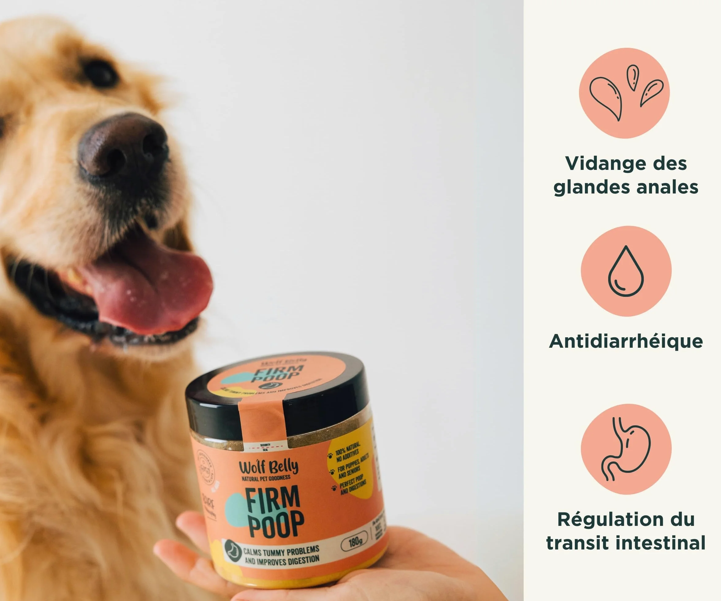 Wolf Belly - Pack Digestif pour Chiens | Complément Digestif en Poudre + Friandises aux Probiotiques | Réduit la Diarrhée | Améliore la Flore Intestinale - Fabriqué en Europe