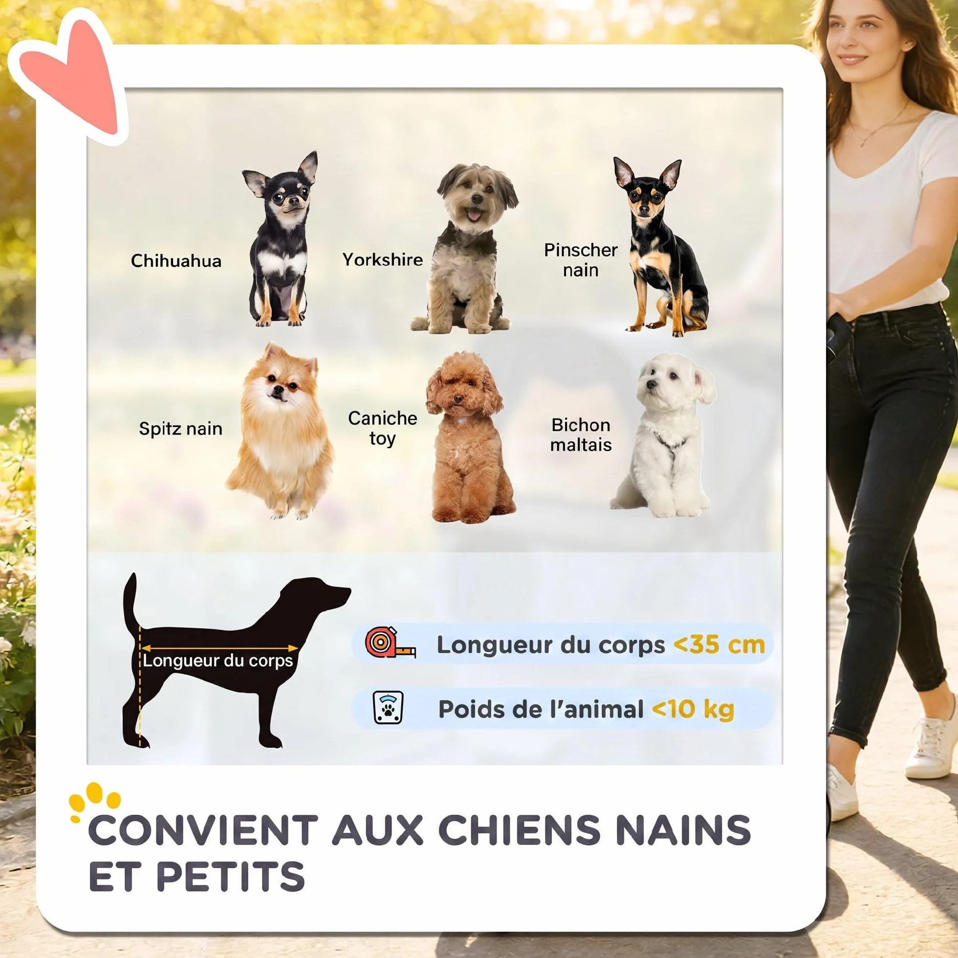 PawHut Poussette Buggy Pliable Animaux, Chariot Pliante Imperméable pour Chien et Chat, Toit Amovible, Tissu 600D Oxford, Acier, Café