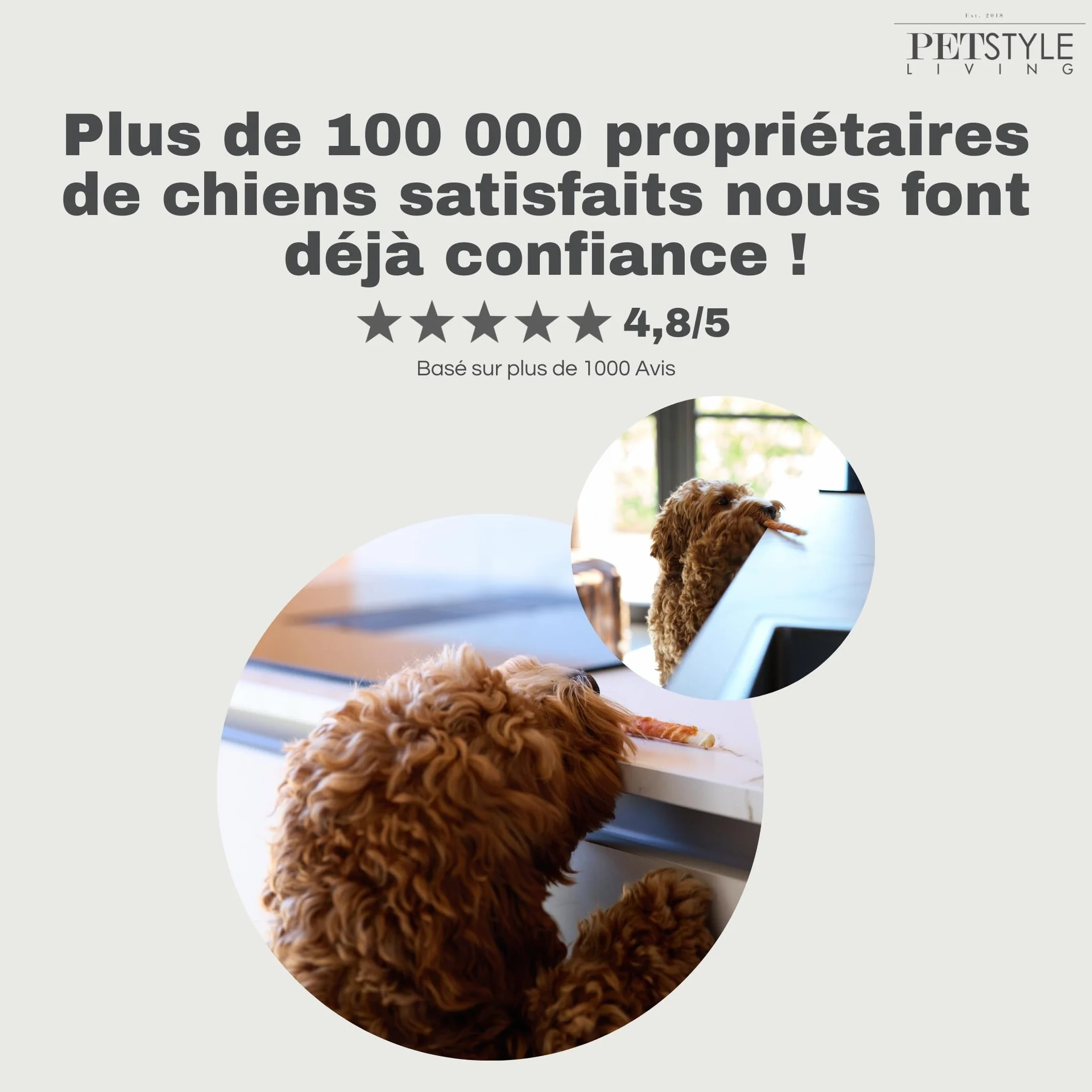 Bâtonnets à Mâcher au Poulet pour Chien 12,5cm 100 Pièces