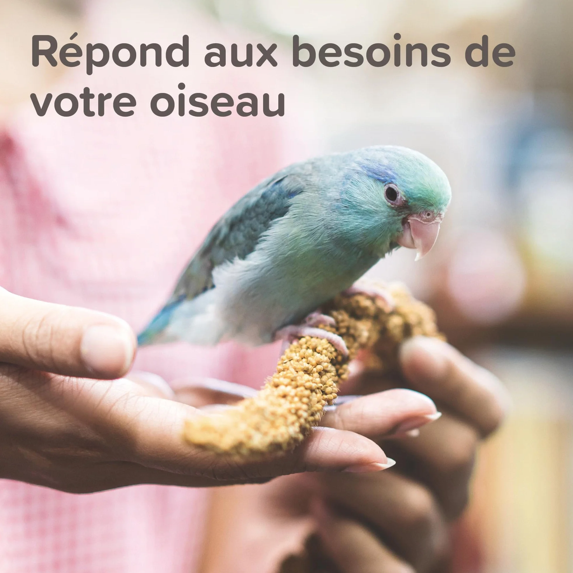 Beaphar XTRAVITAL Alimentation Premium Oiseaux Exotiques 500g