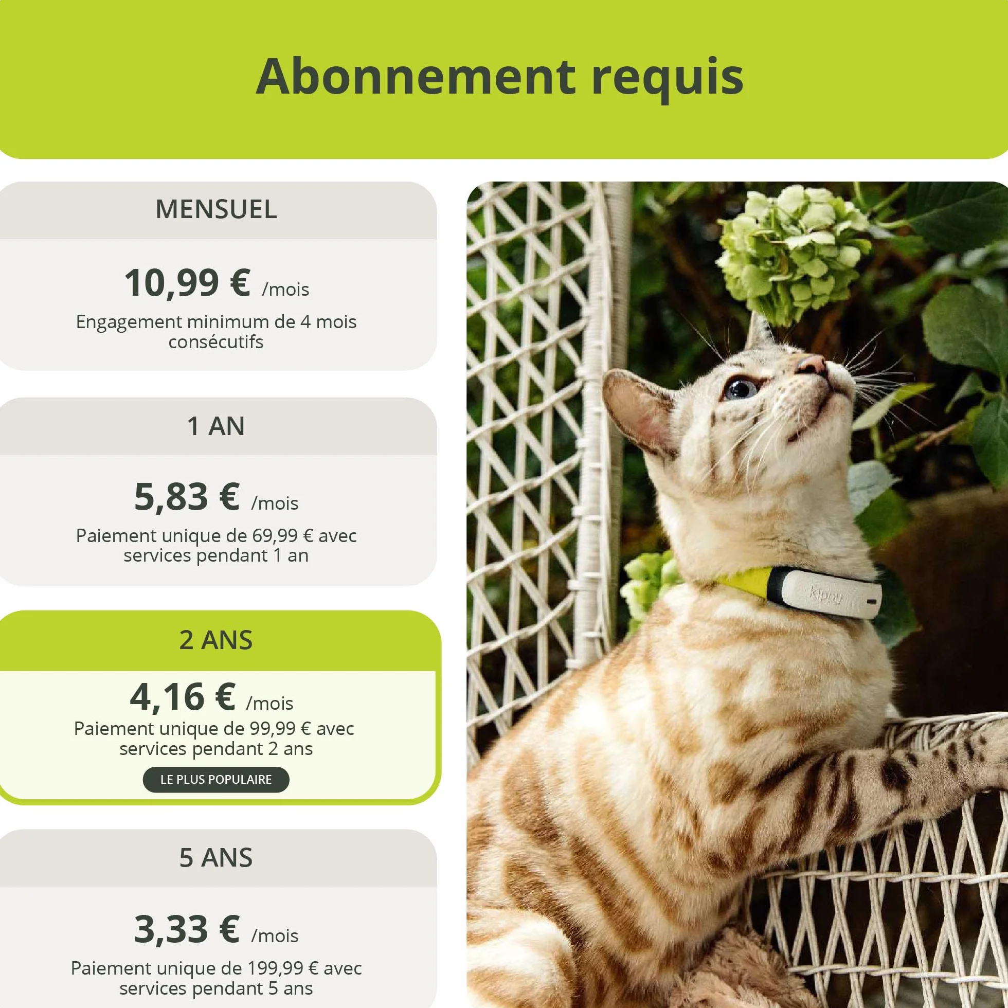 Kippy Cat V2 Collier GPS Chat Localisateur Tracker Santé Activité Anti-Étranglement Frontières Virtuelles Suivi Temps Réel