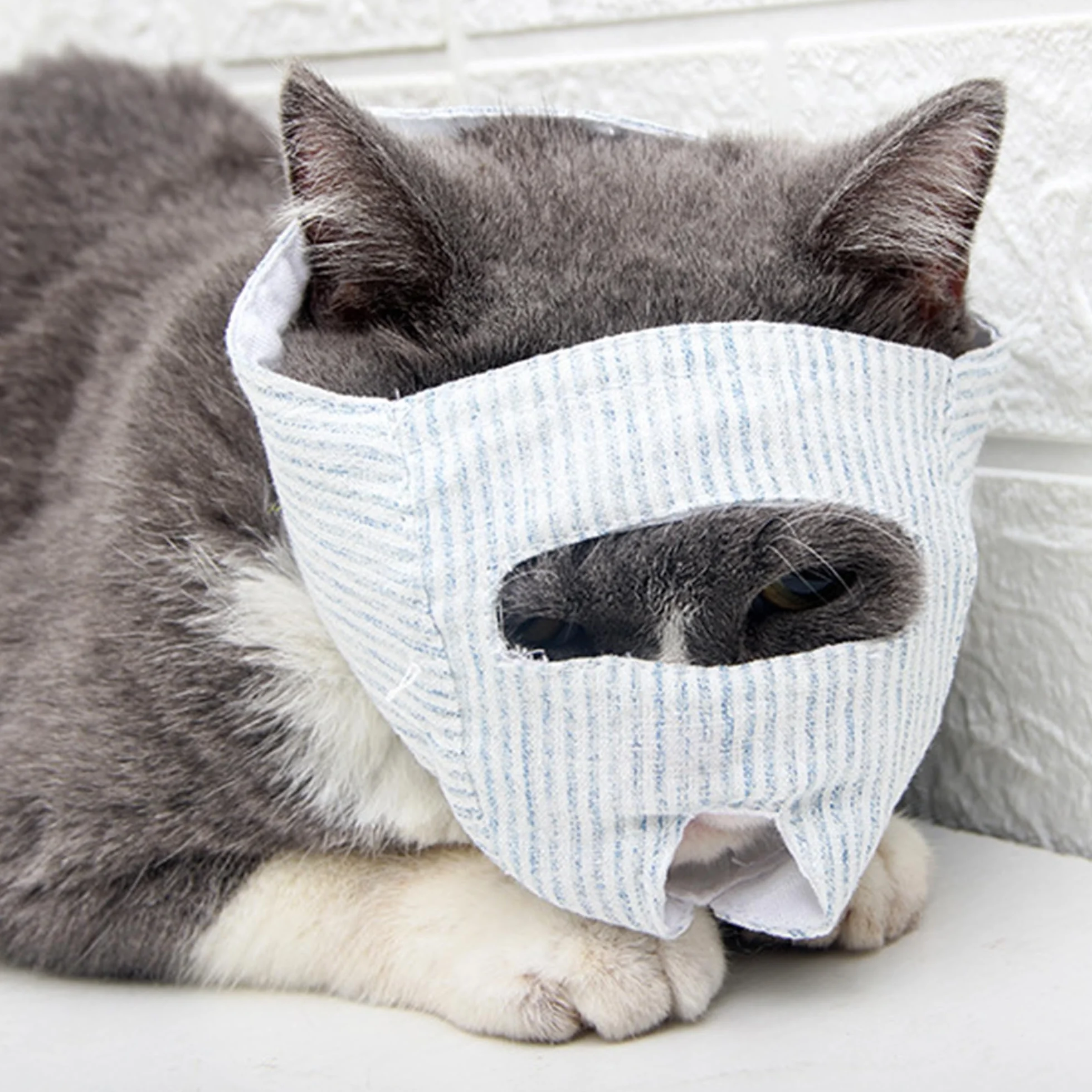 Museau Chat Anti-Morsure Respirant Réglable Protection Visage Soin Bain