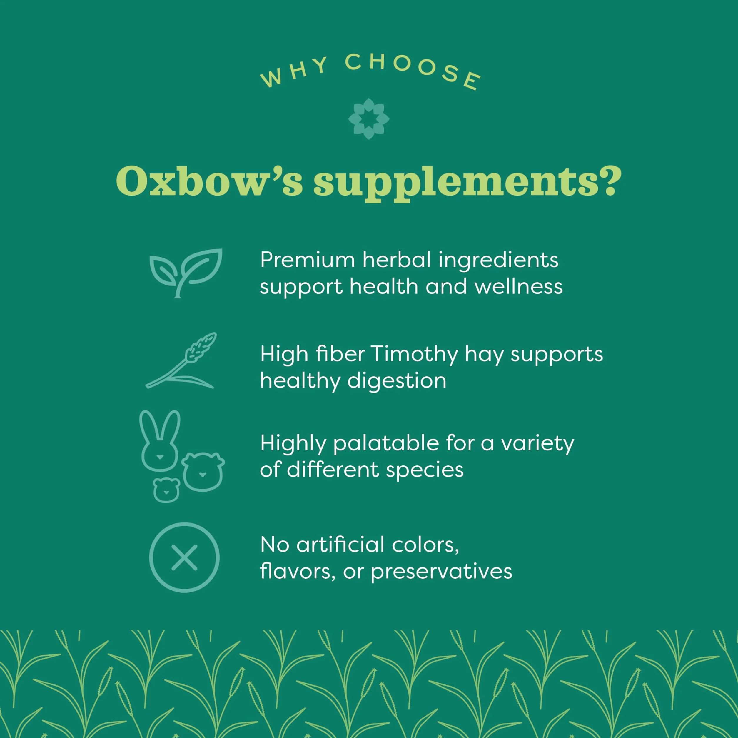 Oxbow Animal Health Natural Science Support digestif Complément Alimentaire Haute teneur en Fibres pour Lapin Cochon d'Inde Foin Timothy Racine chicorée