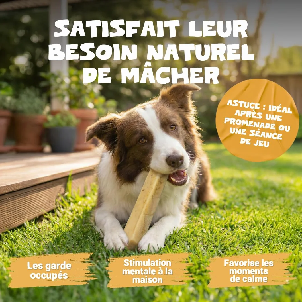 Pets Purest Barres au Lait de Yak de l'Himalayan à Mâcher Large - Friandises Naturelles Os au Fromage pour Chiens