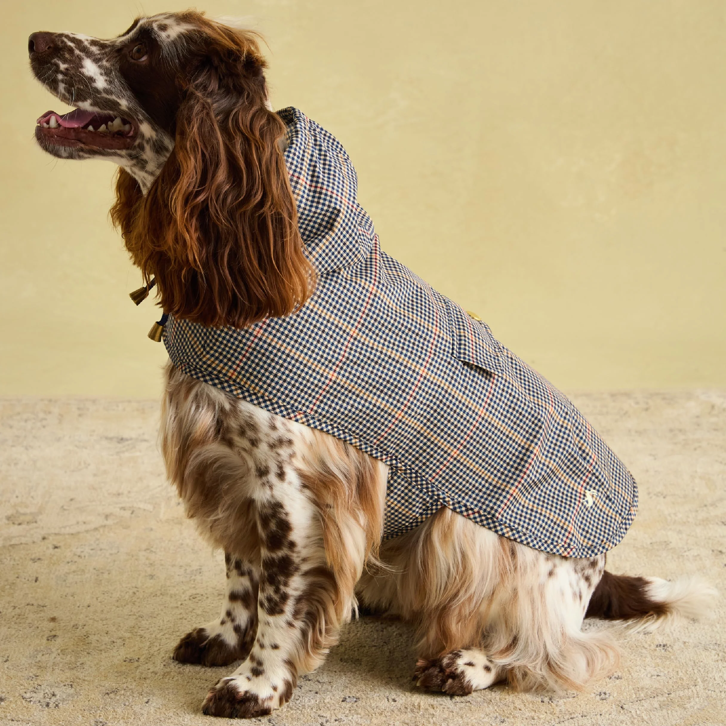 Rosewood Joules Henson Veste Pliable à Carreaux pour Chiens de Taille M, Lavable, légère et Portable, imperméable et imperméable pour Chiens de Taille Moyenne