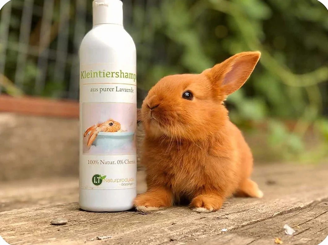 Shampooing Naturel Lapins Ghassoul Marocain 250ml