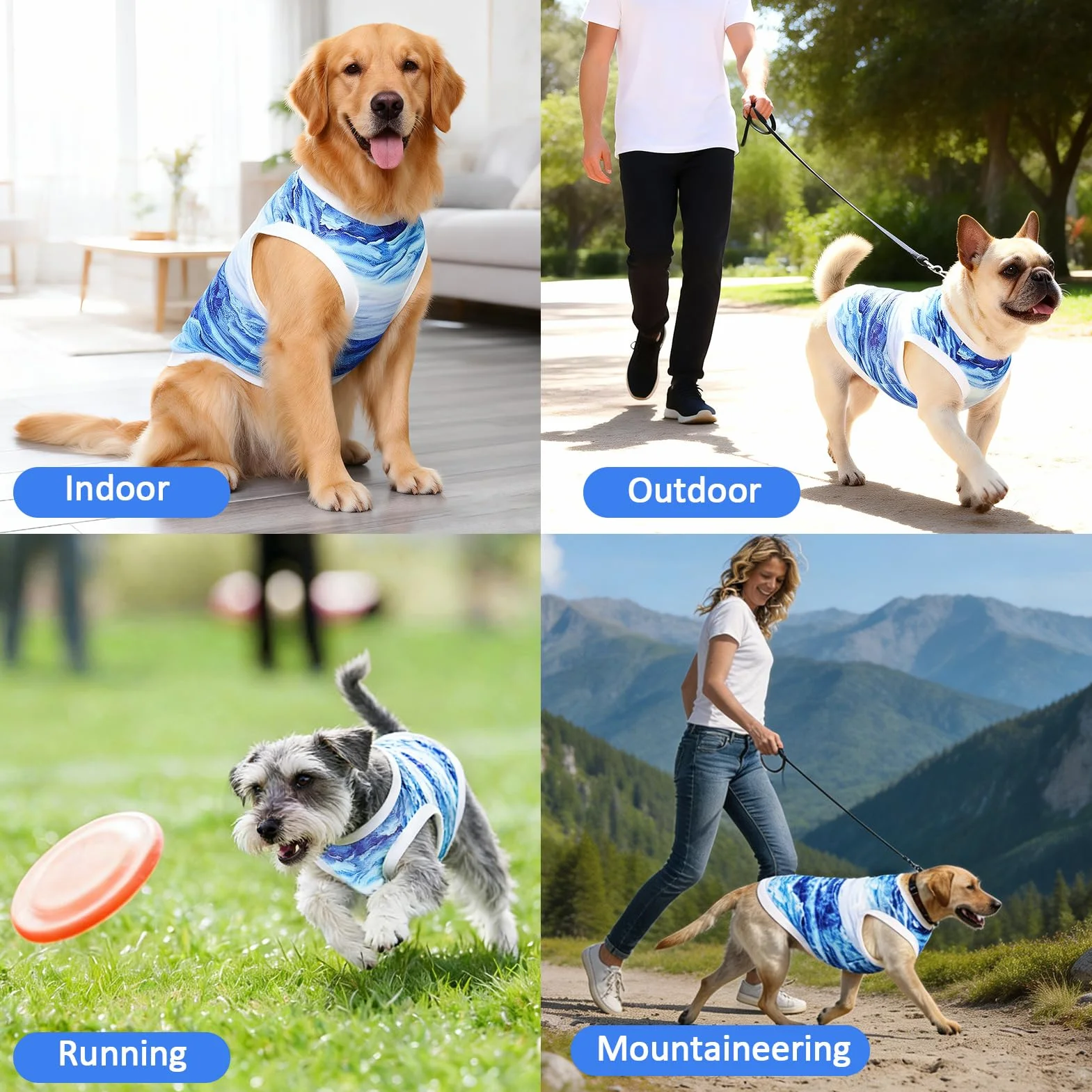 Gilet Rafraîchissant Chien, Veste de Refroidissement Respirante Légère pour Petits et Moyens Chiens