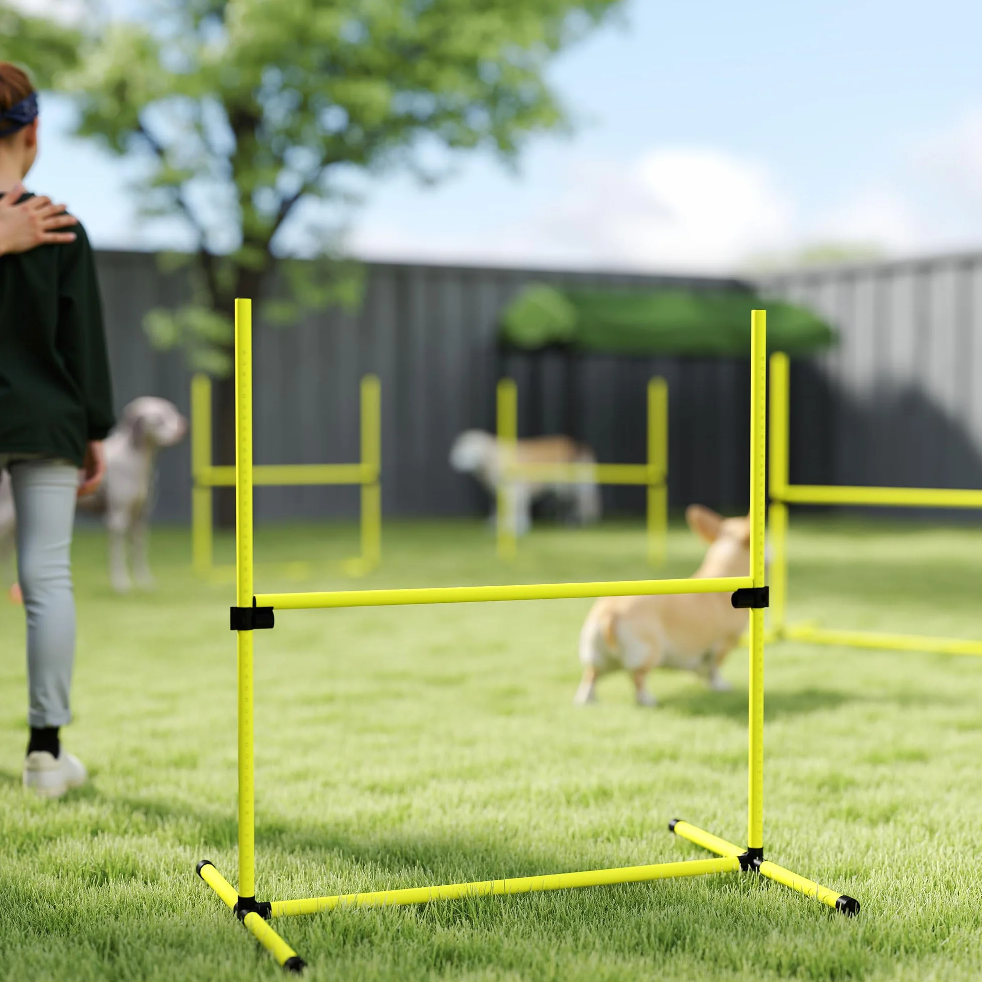 PawHut Kit Agility pour Chiens, 4 Obstacles Professionnels Hauteur Réglable, Parcours Entraînement Jaune