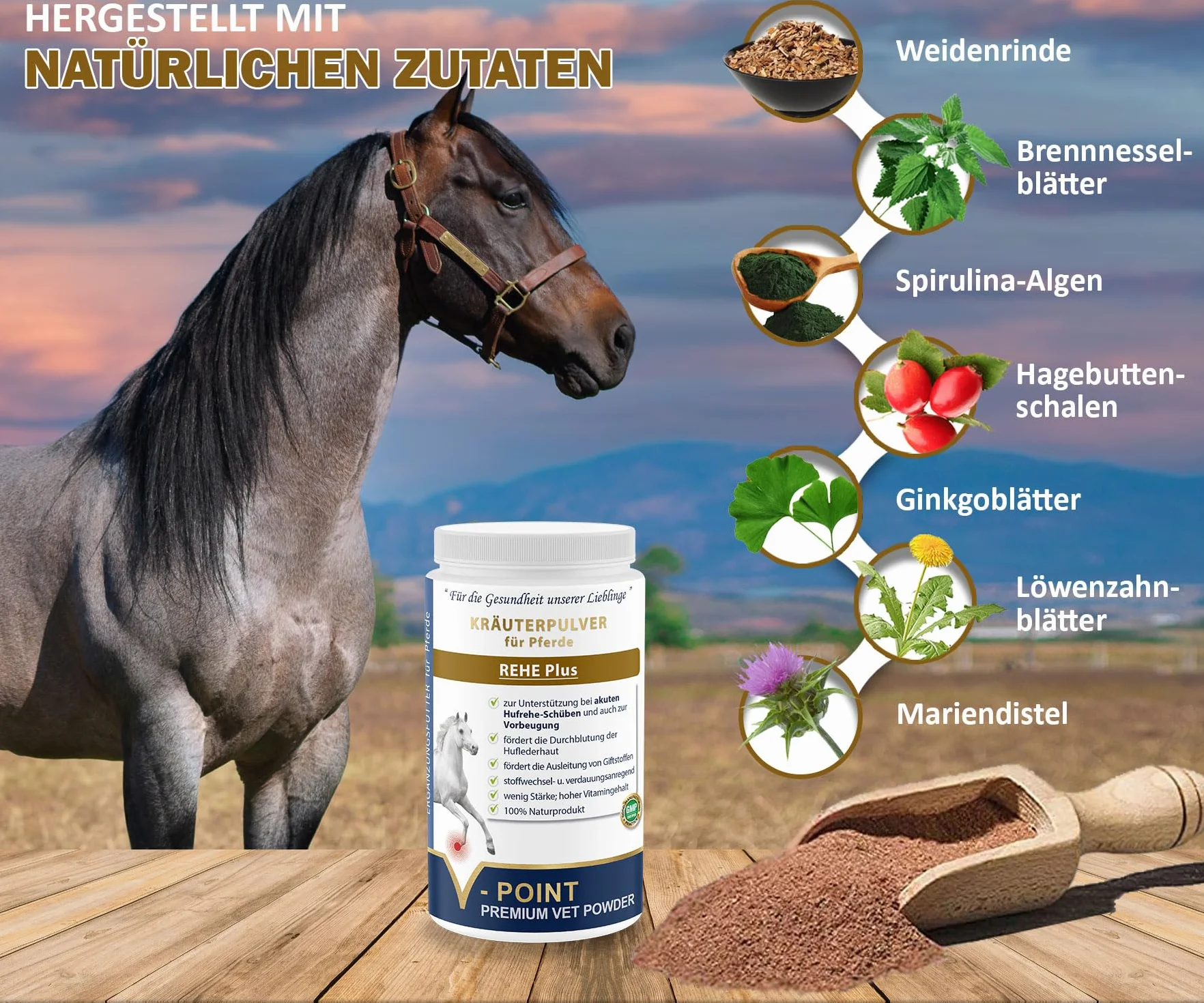 V-POINT REHE Plus poudre pour crises de fourbure aiguës prévention irrigation sanguine sabot cynorrhodon chardon-marie spiruline 450 g