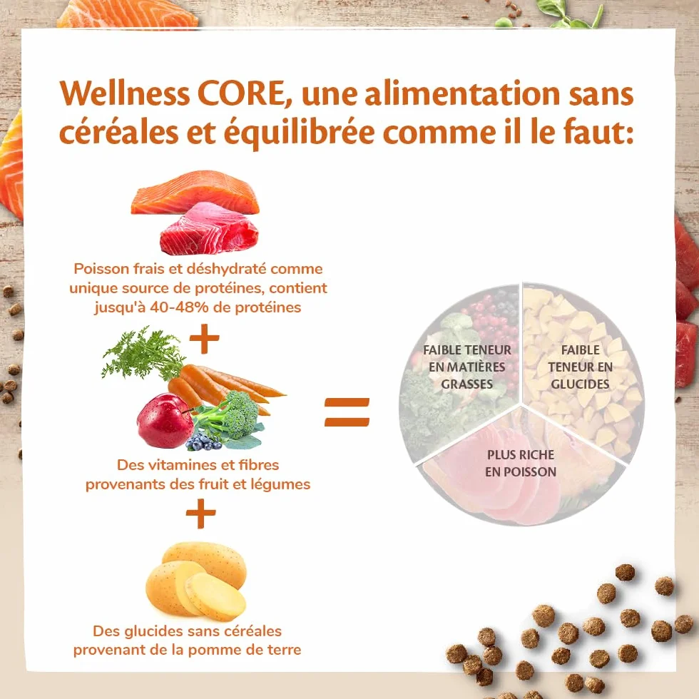 WELLNESS CORE Croquettes pour Chats Stérilisés Saumon sans Céréales 4 kg