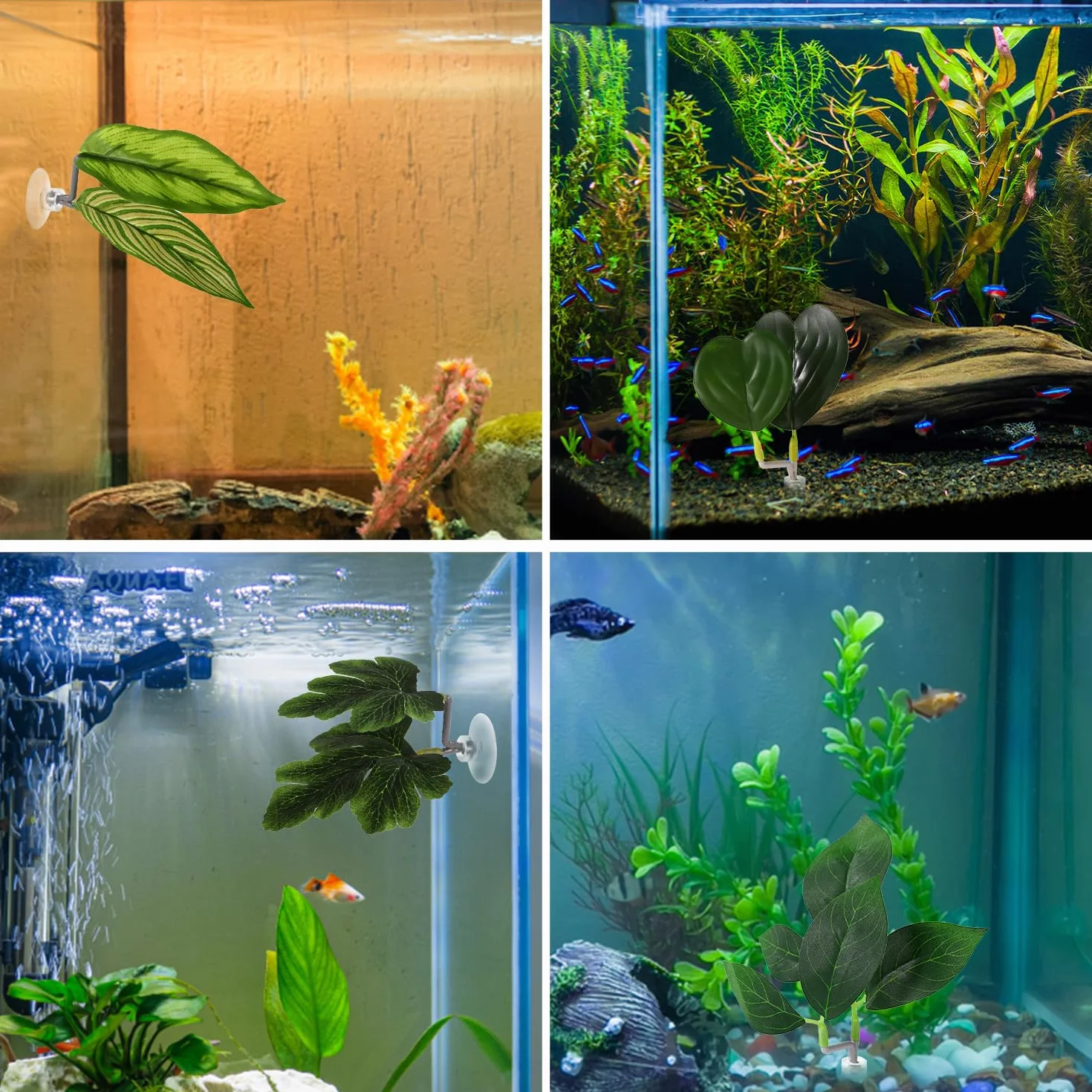 Feuilles Betta, 4 Styles Feuille Repos Betta avec Ventouse Décoration Aquarium