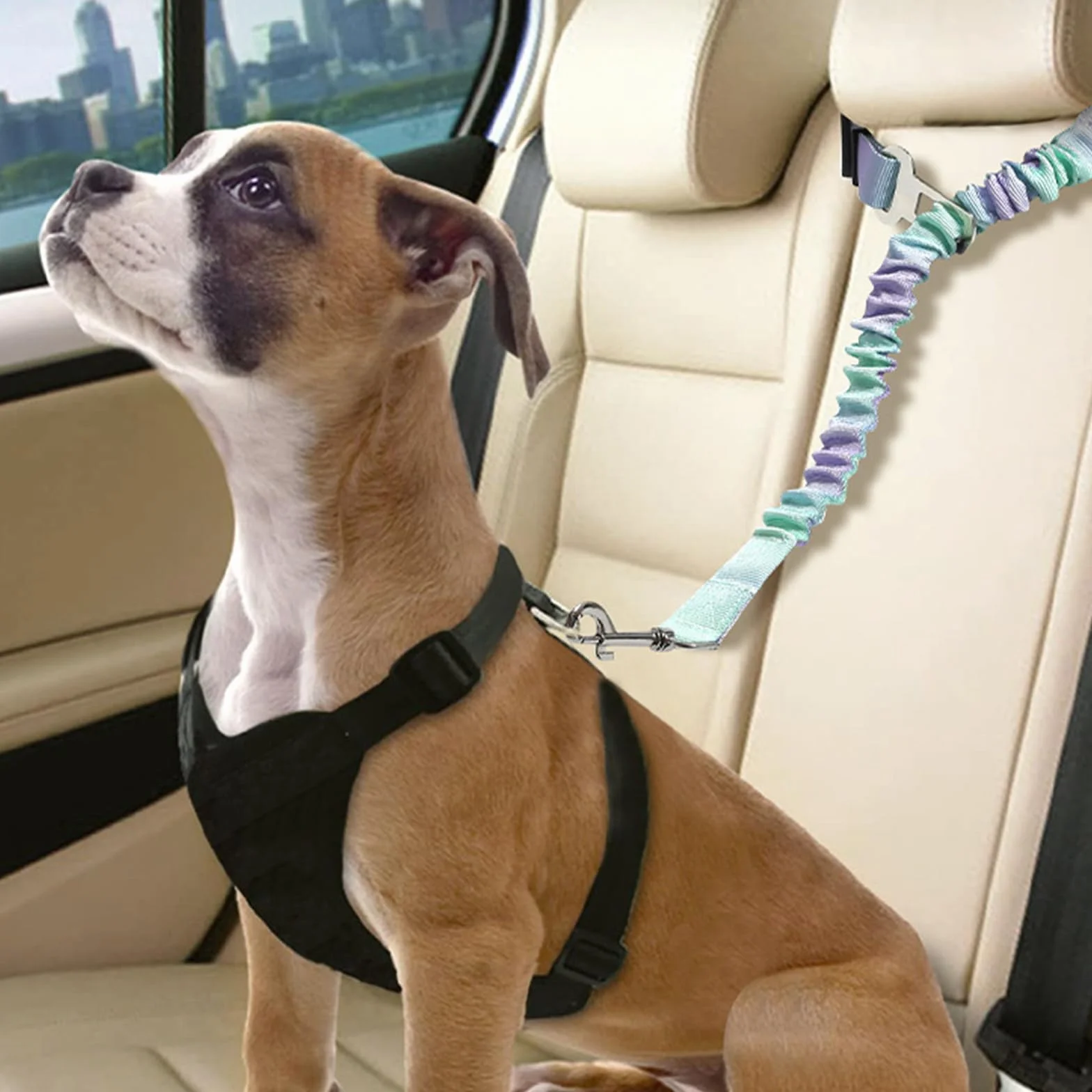 2 Pièces Ceinture Chien Voiture, Réglable Ceinture Securite Chien Voiture, Élastique Attache Chiens Voitures, Couleur Dégradée Laisse Voitures pour Chiens