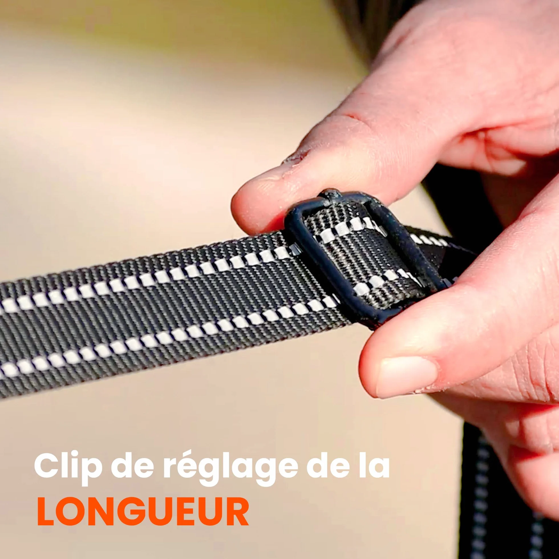 Longe pour Chien 5m 10m 15m 20m Laisse de Dressage avec Poignée Rembourrée et Sac de Rangement Noir