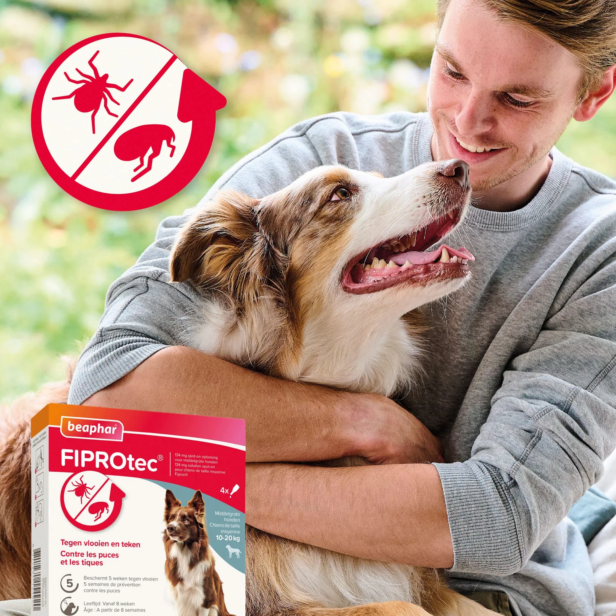 BEAPHAR FIPROTEC Solution Spot-on pour Chiens Moyens 10-20 kg 134 MG Fipronil Anti-Puces Anti-Tiques 4 Pipettes