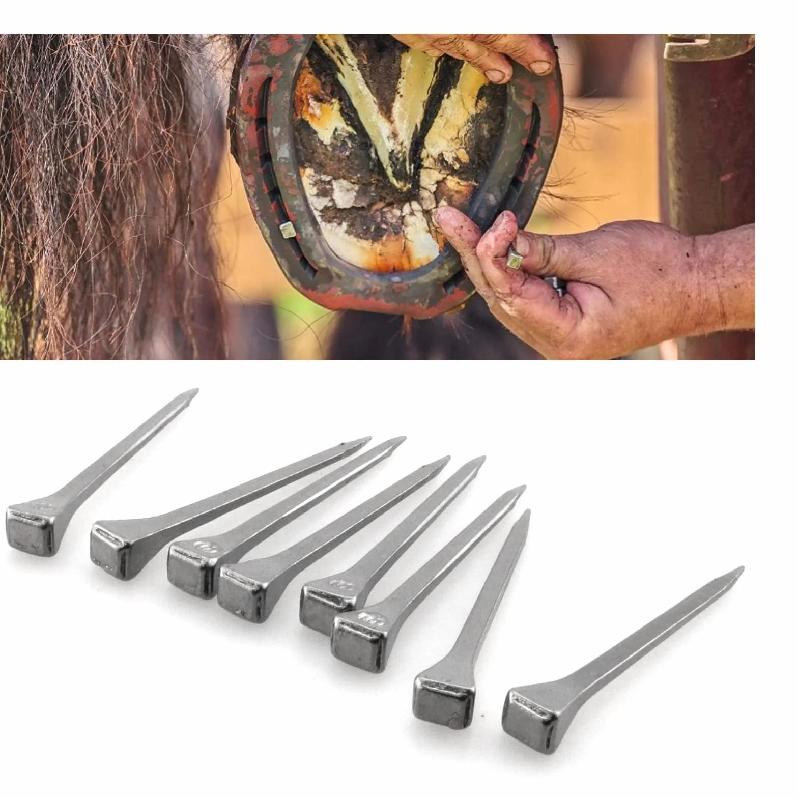 Clous Fer à Cheval 54 mm Acier Carbone 40 Pièces