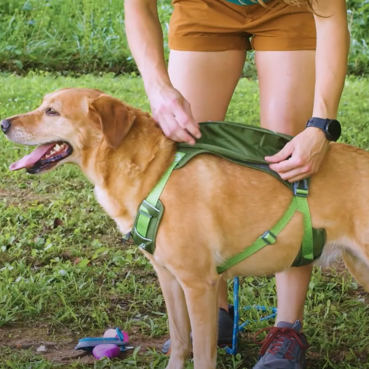 Kurgo Cascade Harnais pour Chien Sac à Dos Randonnée Taille M Vert