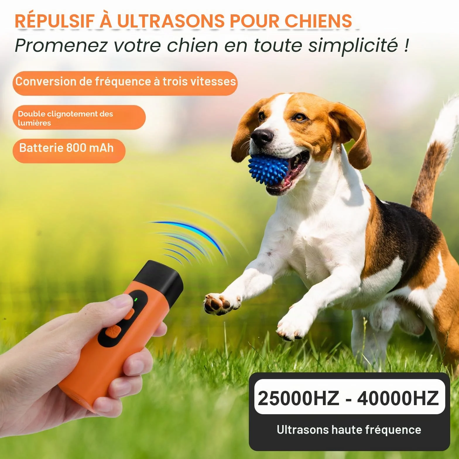 Dispositif Anti-Aboiement Ultrason Rechargeable pour Chiens, 3 Fréquences Réglables