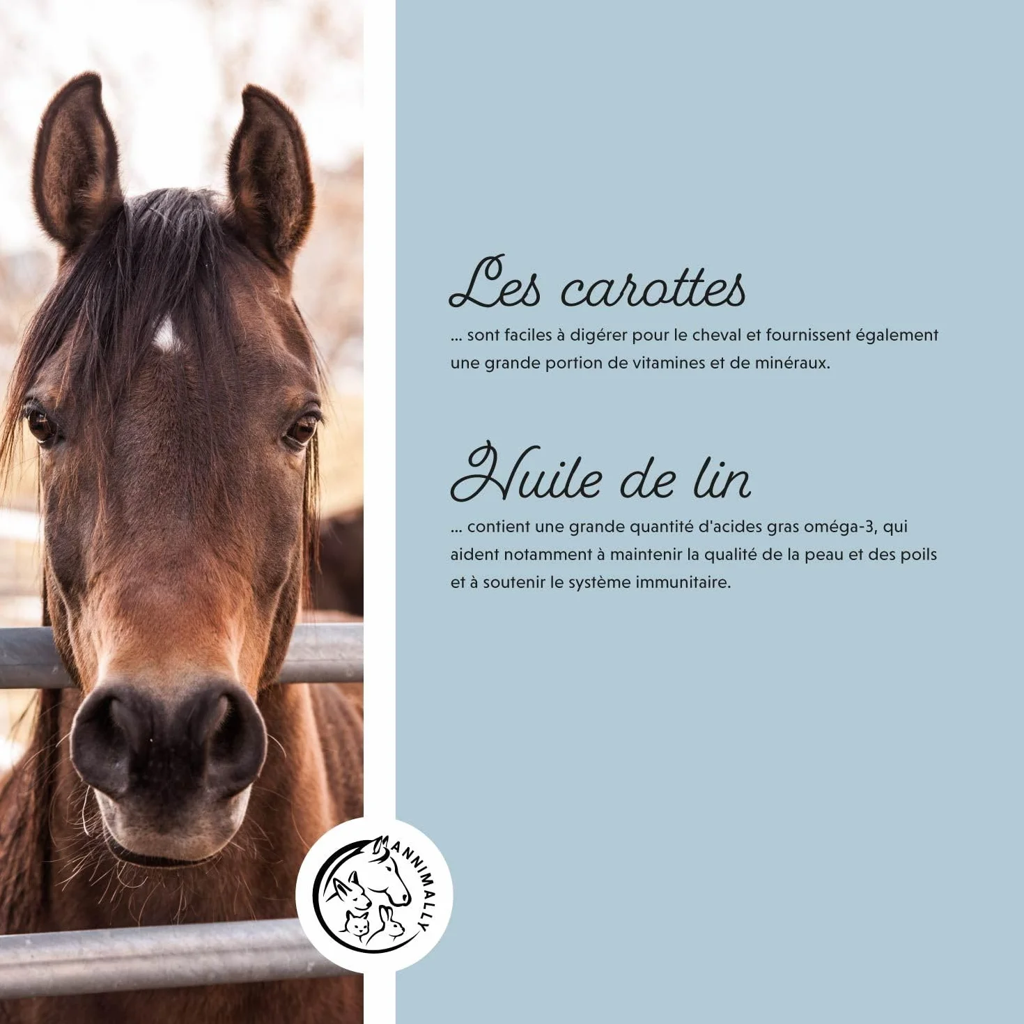 Annimally Sélénium, Vitamine E, L-Lysine Poudre pour Chevaux 800g - Complexe de Vitamine E, L-Lysine et Sélénium pour Soutenir la Musculature et Les Performances - Complément Alimentaire pour Cheval